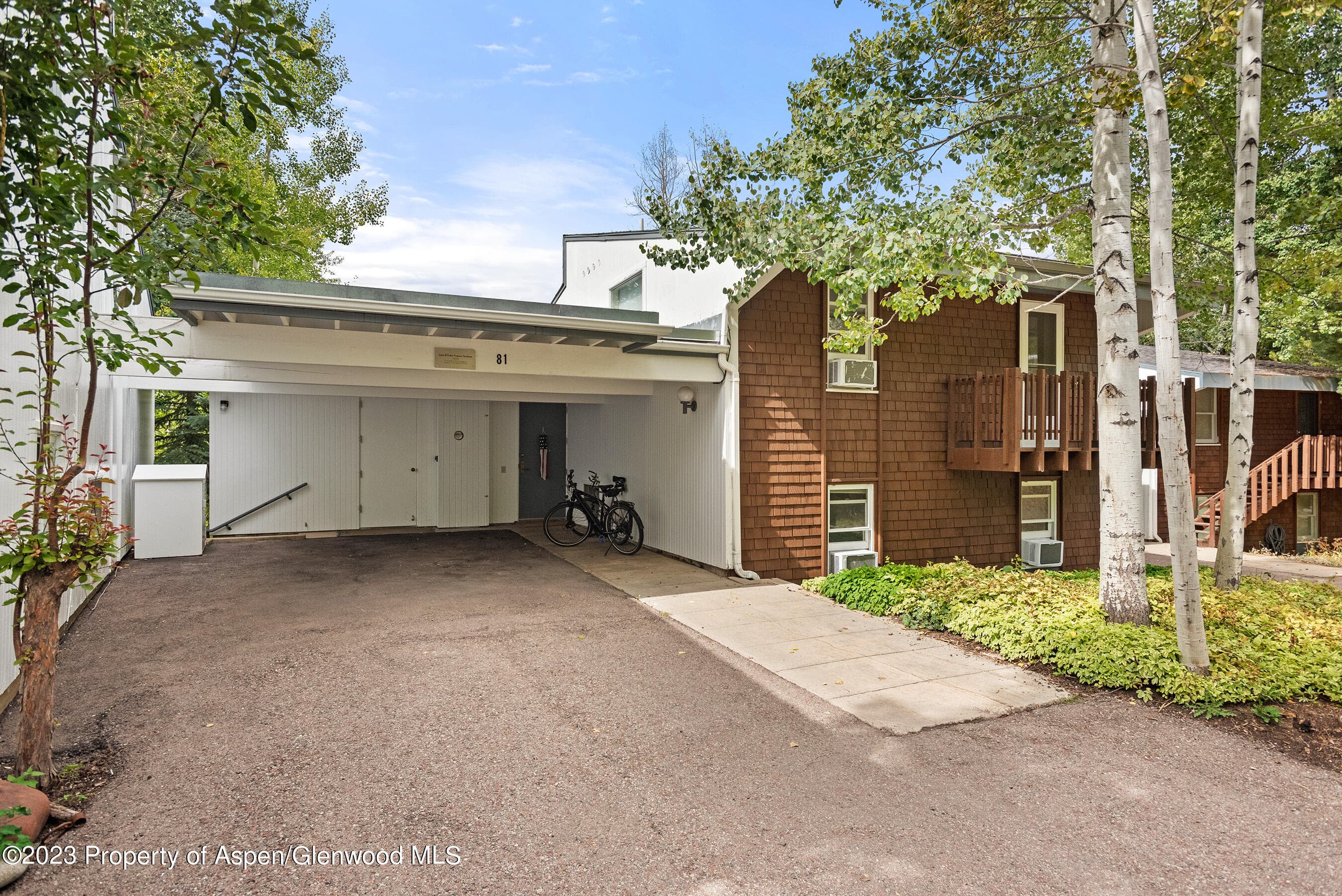 81 Meadows Trustee Road, Aspen, CO 81611