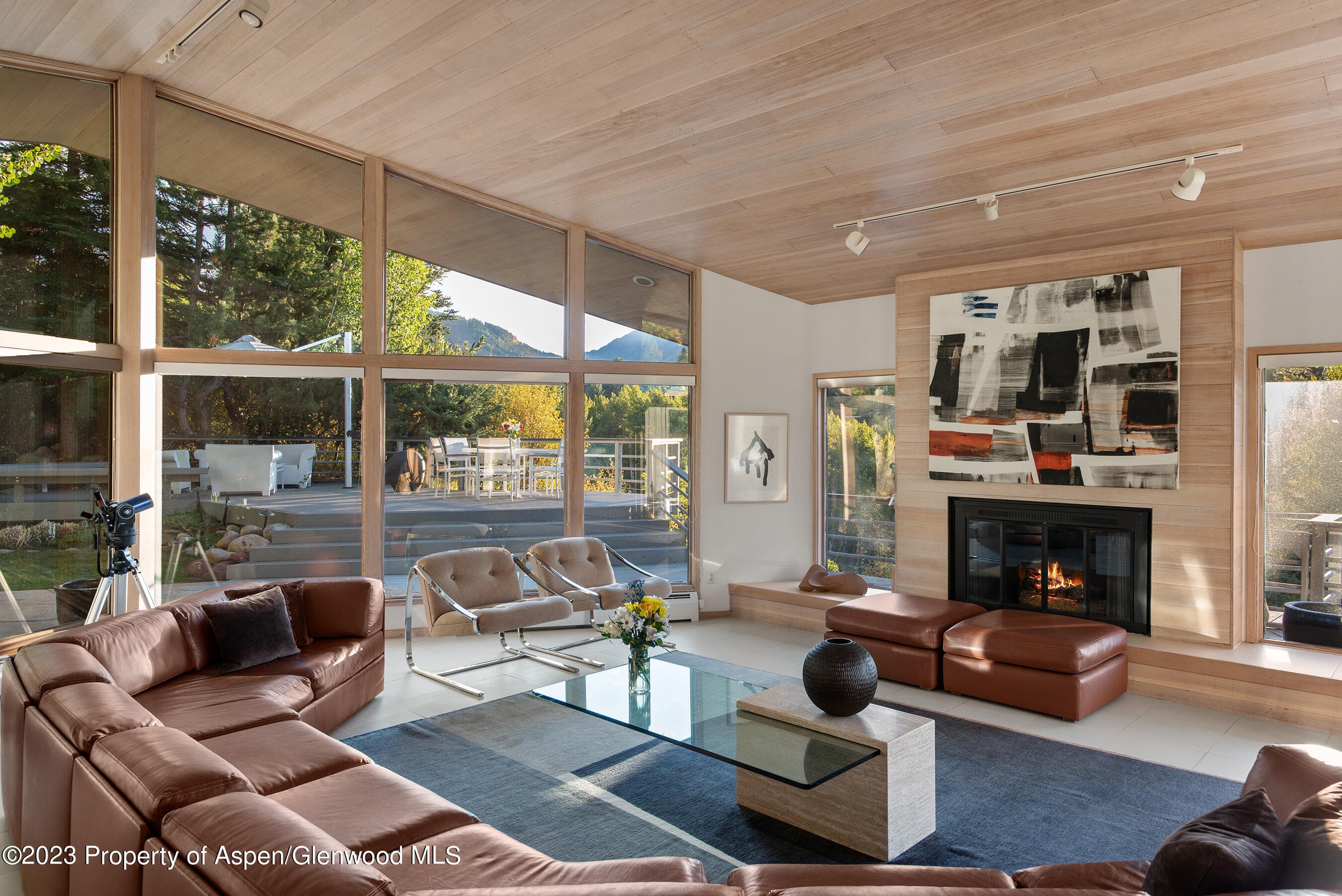 695 Meadows Road, Aspen, CO 81611 - Photo 8