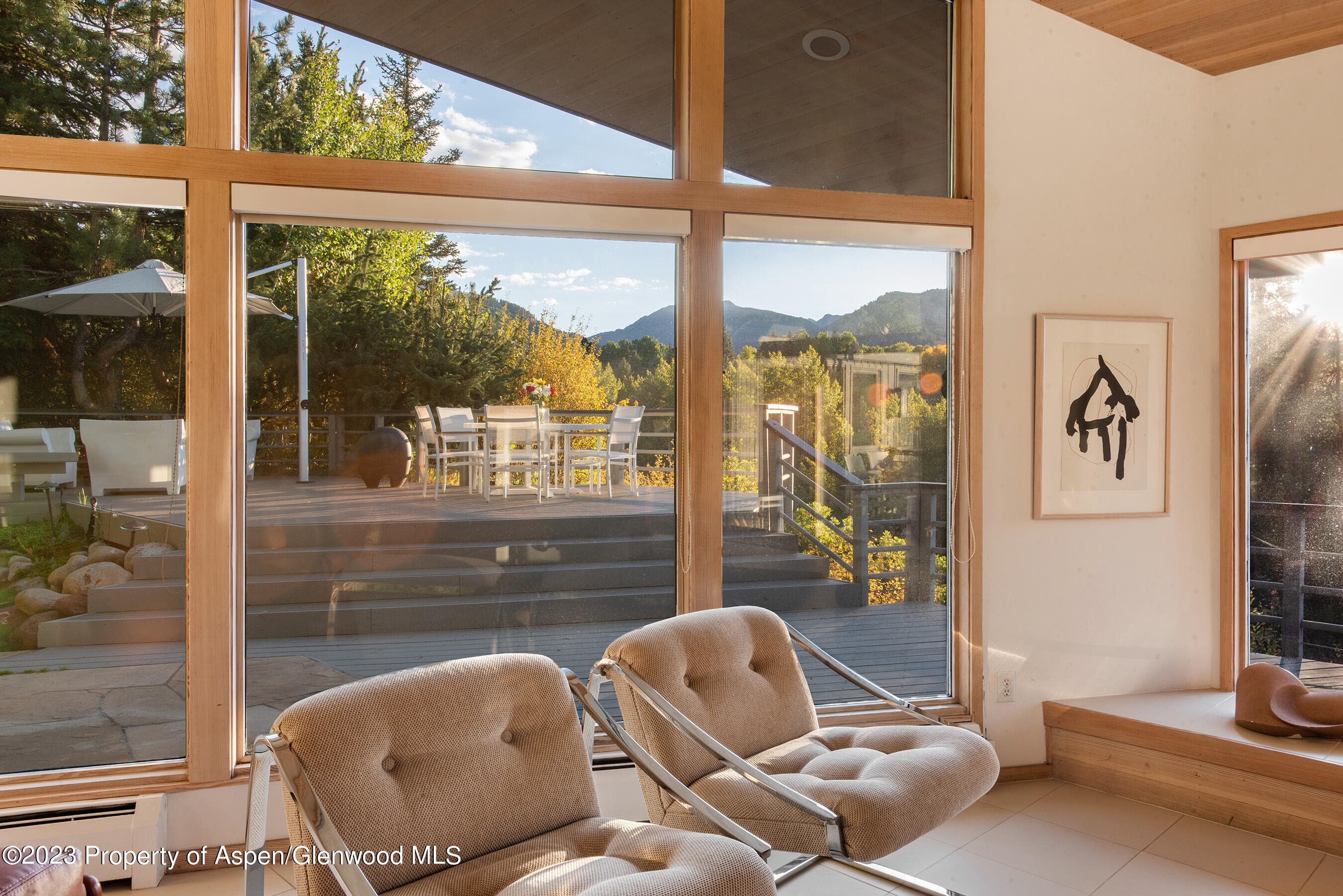 695 Meadows Road, Aspen, CO 81611 - Photo 9