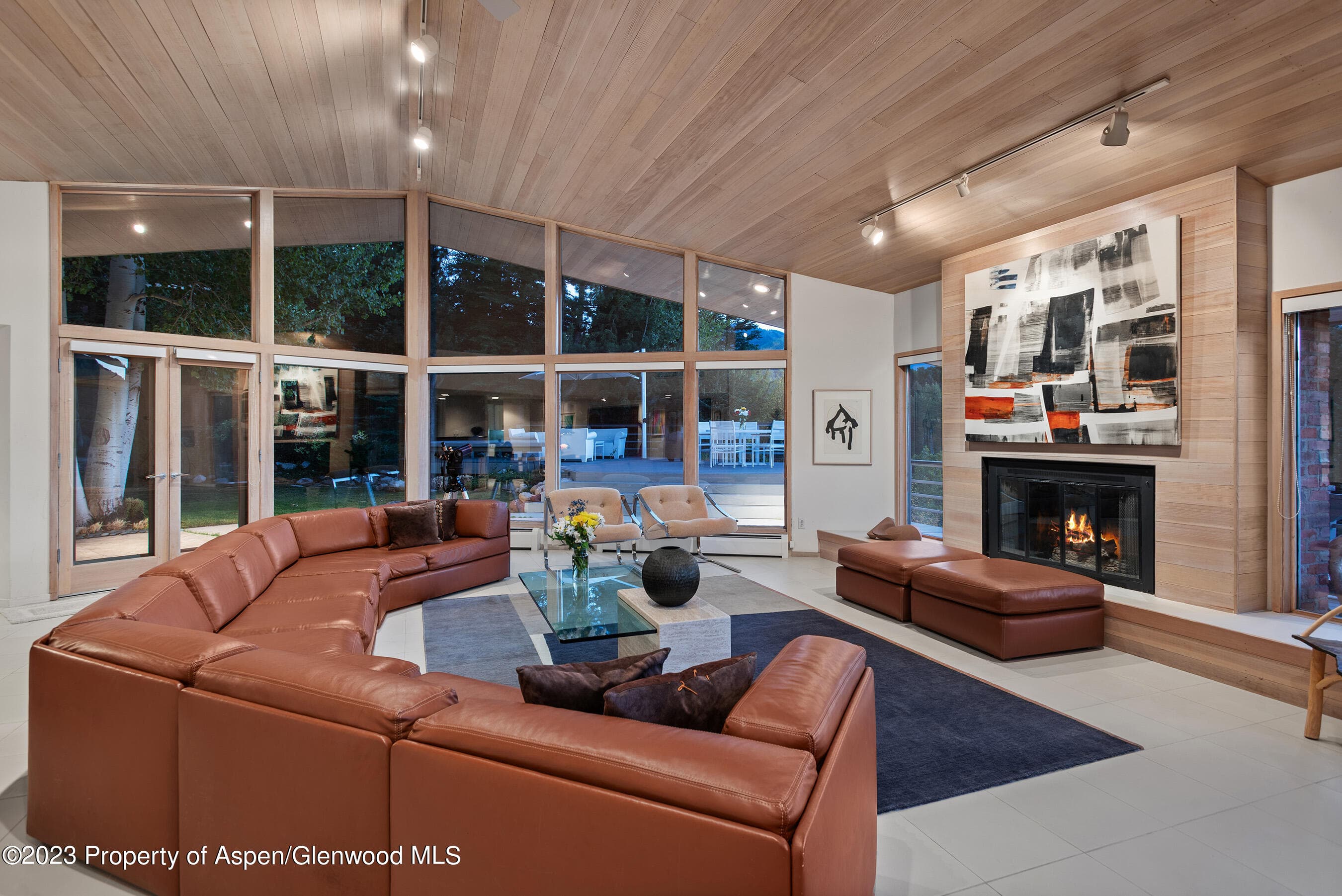 695 Meadows Road, Aspen, CO 81611 - Photo 10