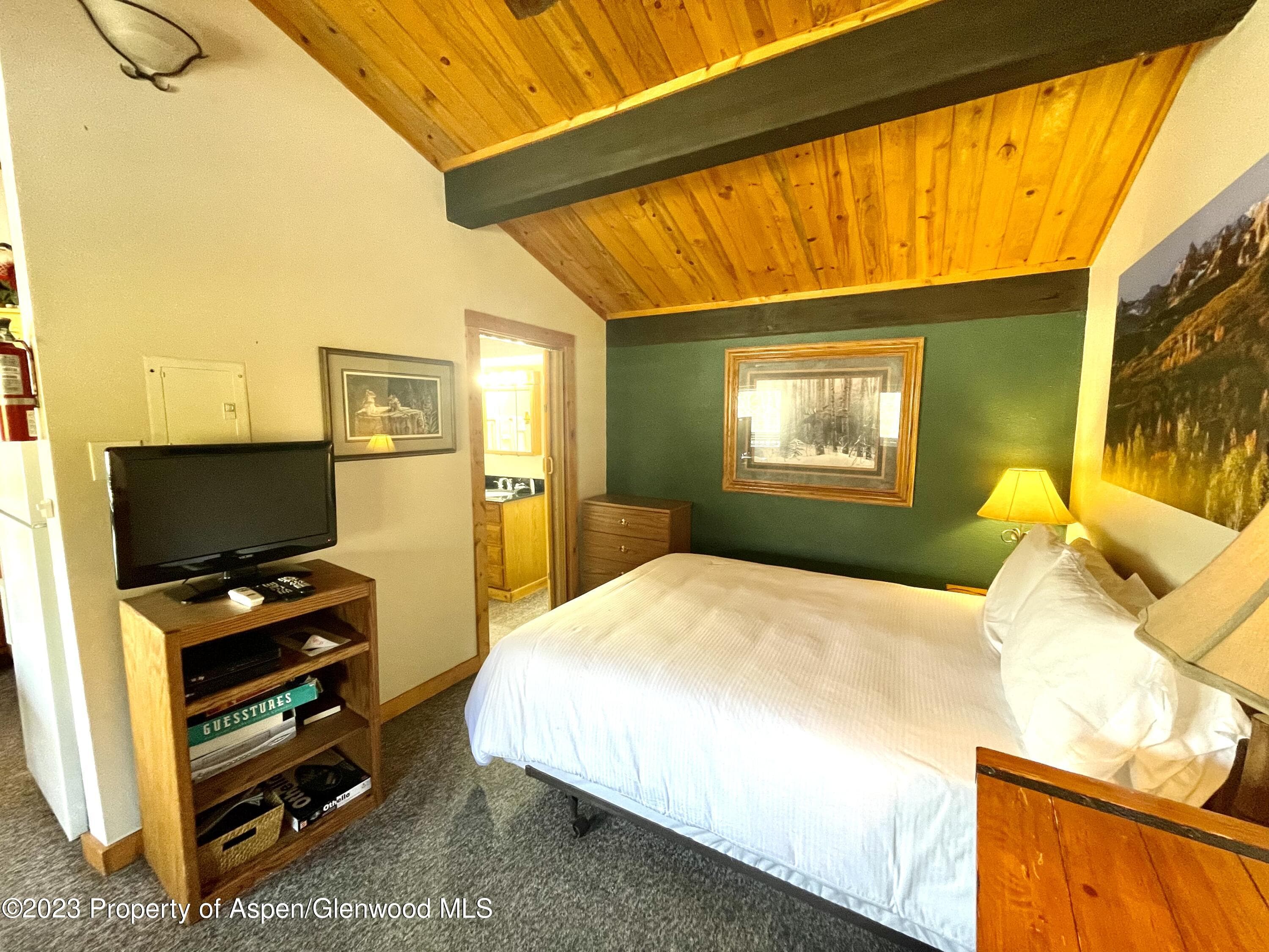 11101 COUNTY ROAD 117 E8, Glenwood Springs, CO 81601 - Photo 7