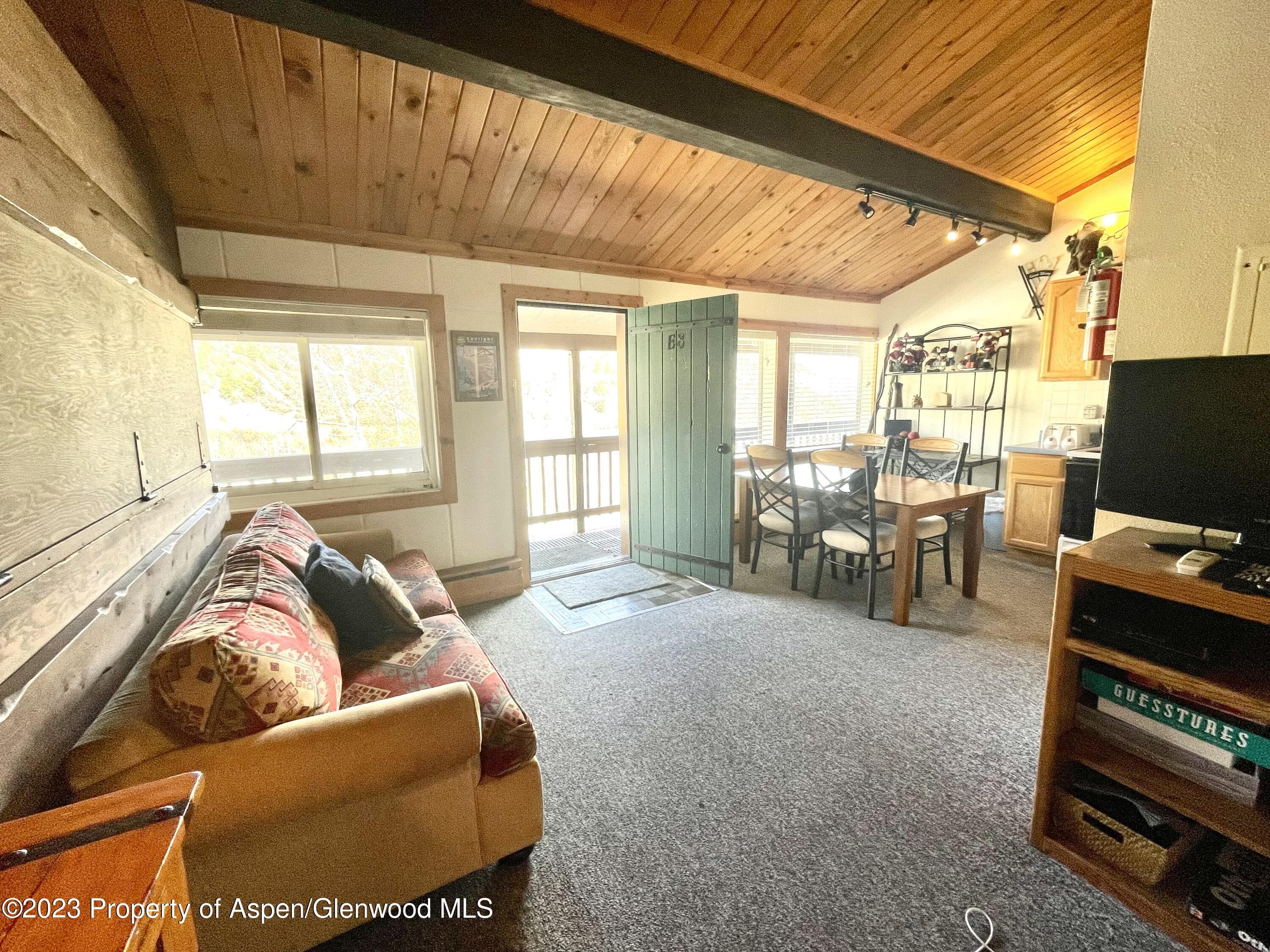 11101 COUNTY ROAD 117 E8, Glenwood Springs, CO 81601 - Photo 12