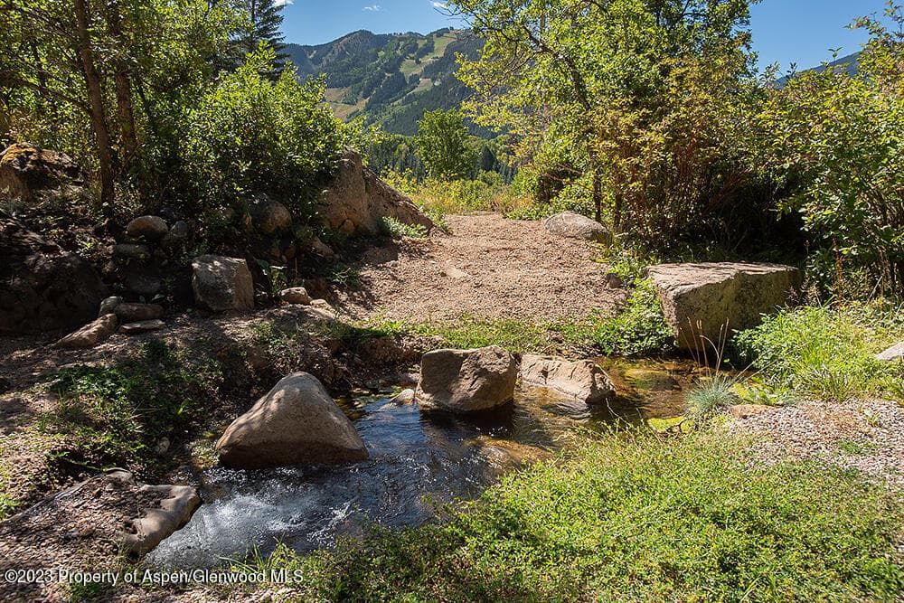 848 Willoughby Way, Aspen, CO 81611 - Photo 6