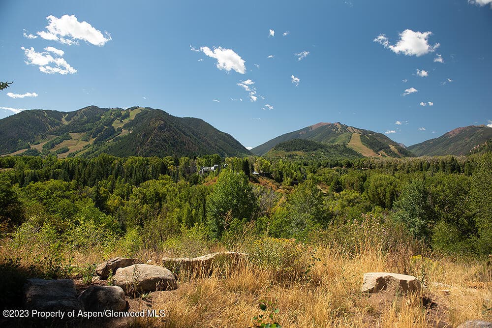 848 Willoughby Way, Aspen, CO 81611 - Photo 12