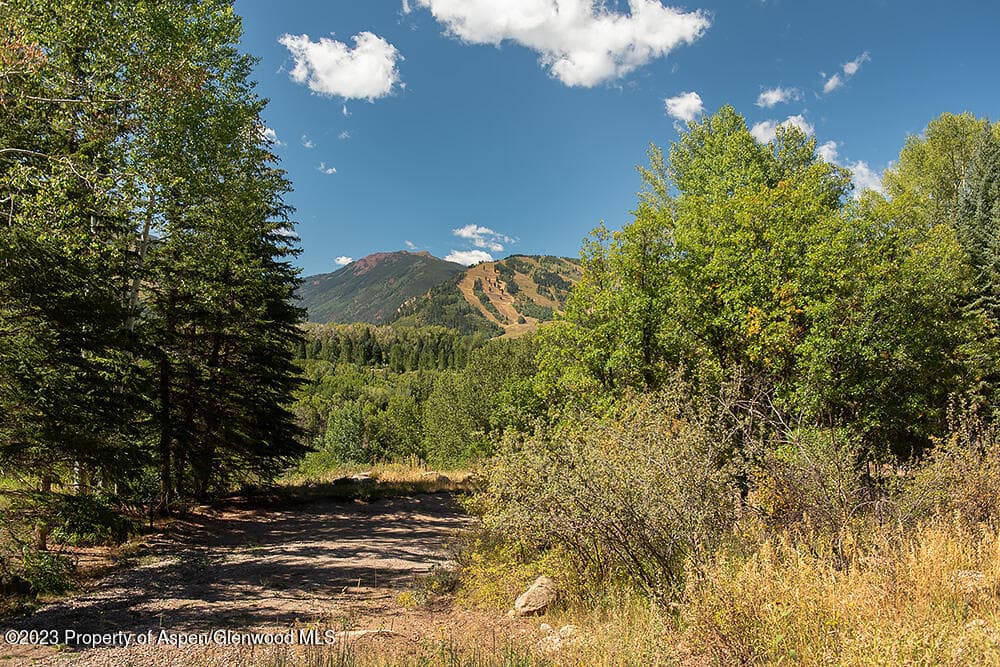 848 Willoughby Way, Aspen, CO 81611 - Photo 13