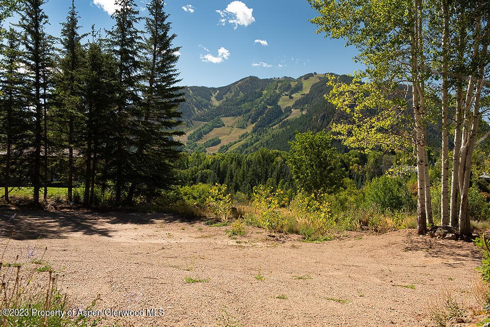 848 Willoughby Way, Aspen, CO 81611 - Photo 15