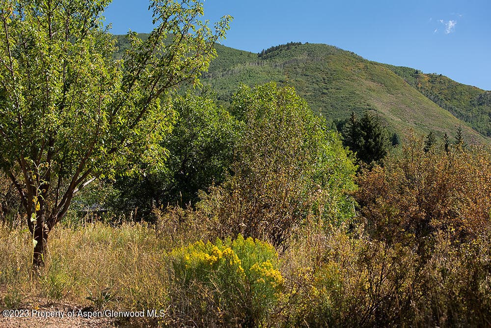 848 Willoughby Way, Aspen, CO 81611 - Photo 19