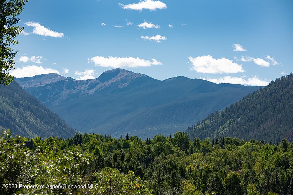 848 Willoughby Way, Aspen, CO 81611 - Photo 23