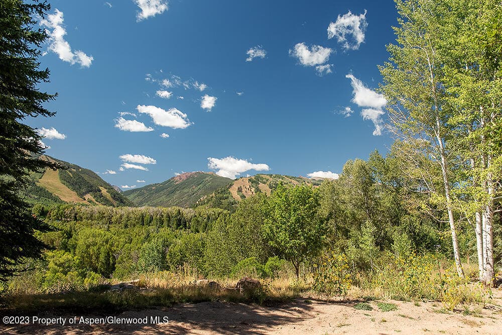 848 Willoughby Way, Aspen, CO 81611 - Photo 29