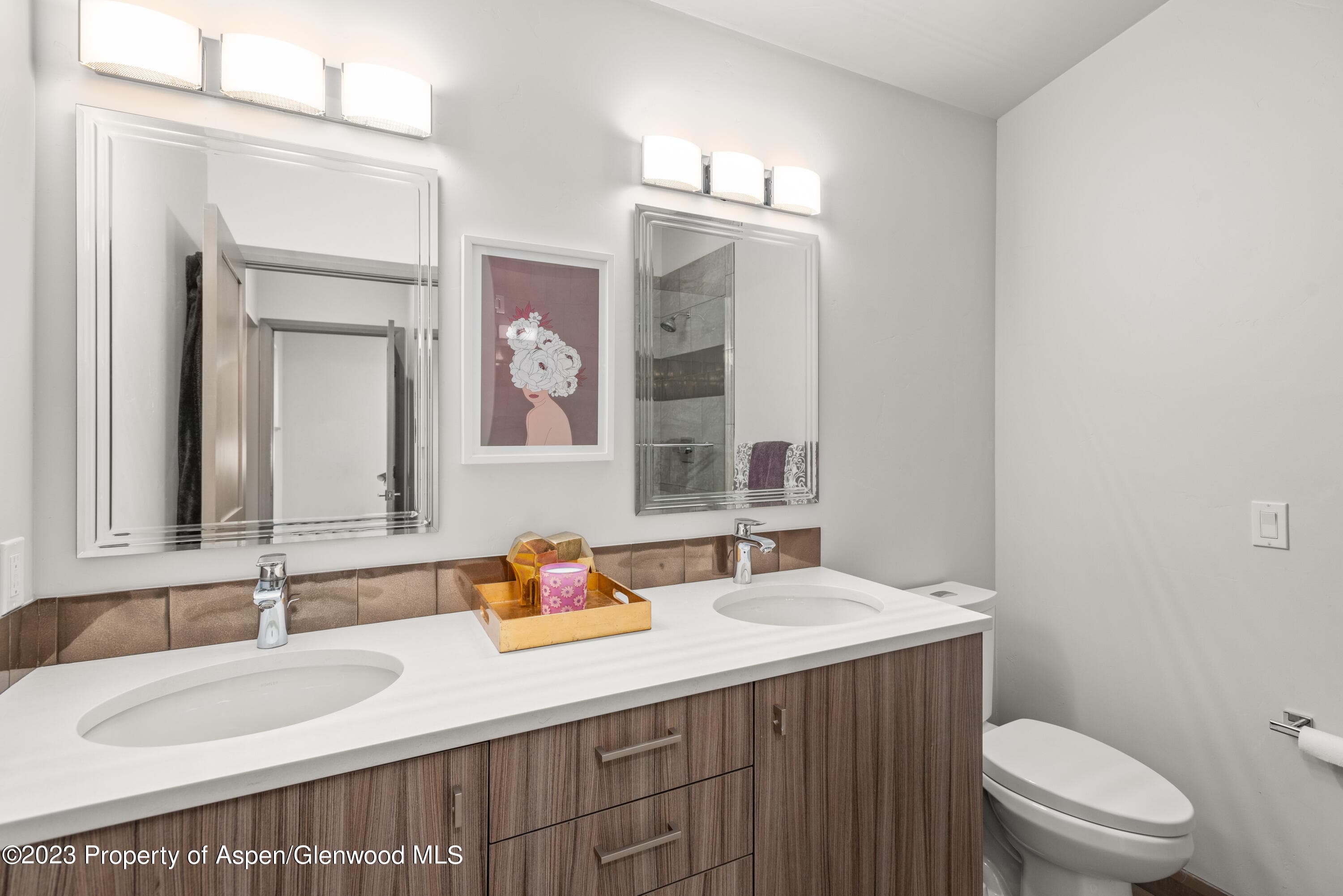 331 Branding Way, Basalt, CO 81621 - Photo 16