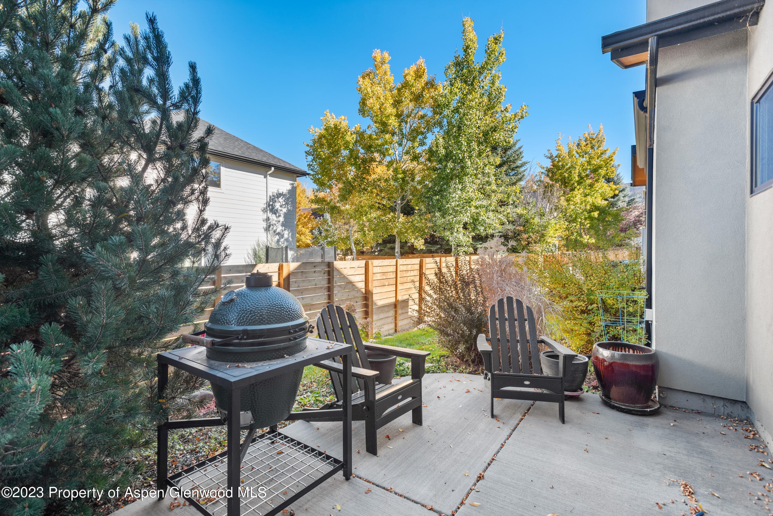 331 Branding Way, Basalt, CO 81621 - Photo 23