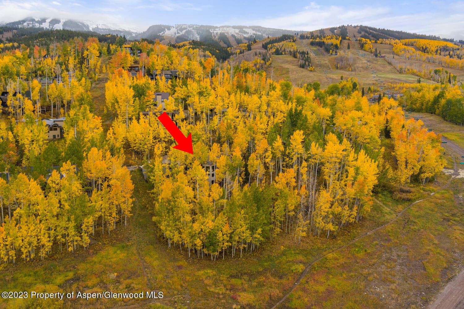 431 Edgewood Lane, Snowmass Village, CO 81615 - Photo 69