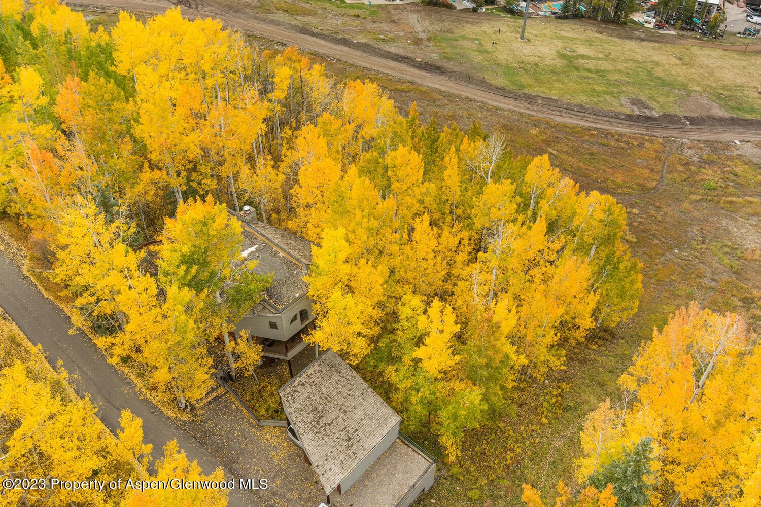 431 Edgewood Lane, Snowmass Village, CO 81615 - Photo 66