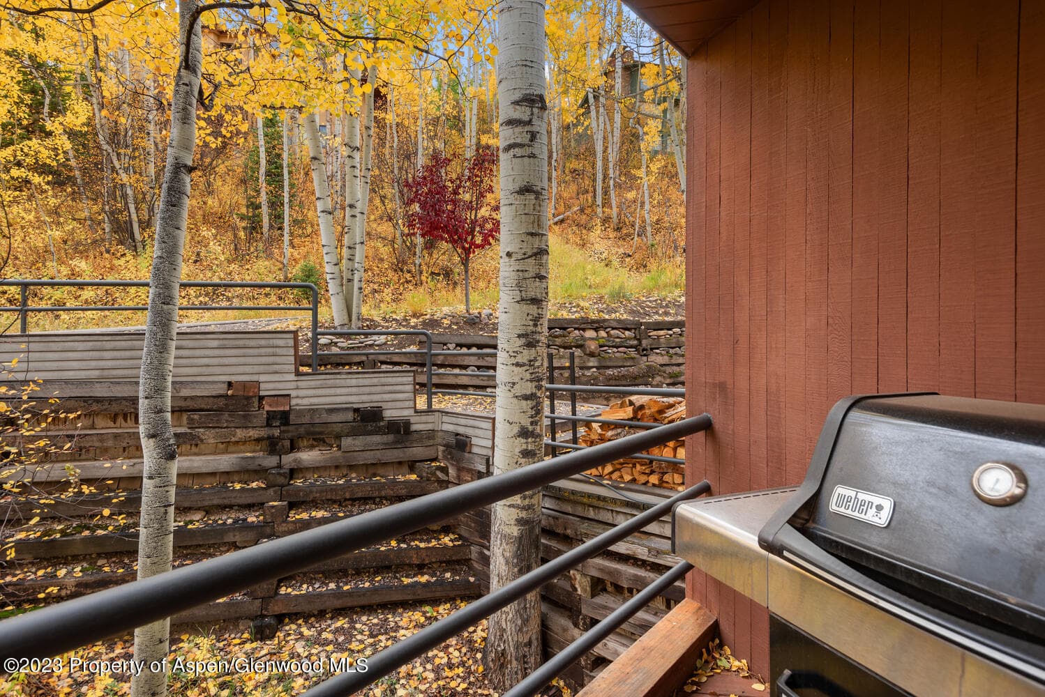 431 Edgewood Lane, Snowmass Village, CO 81615 - Photo 53