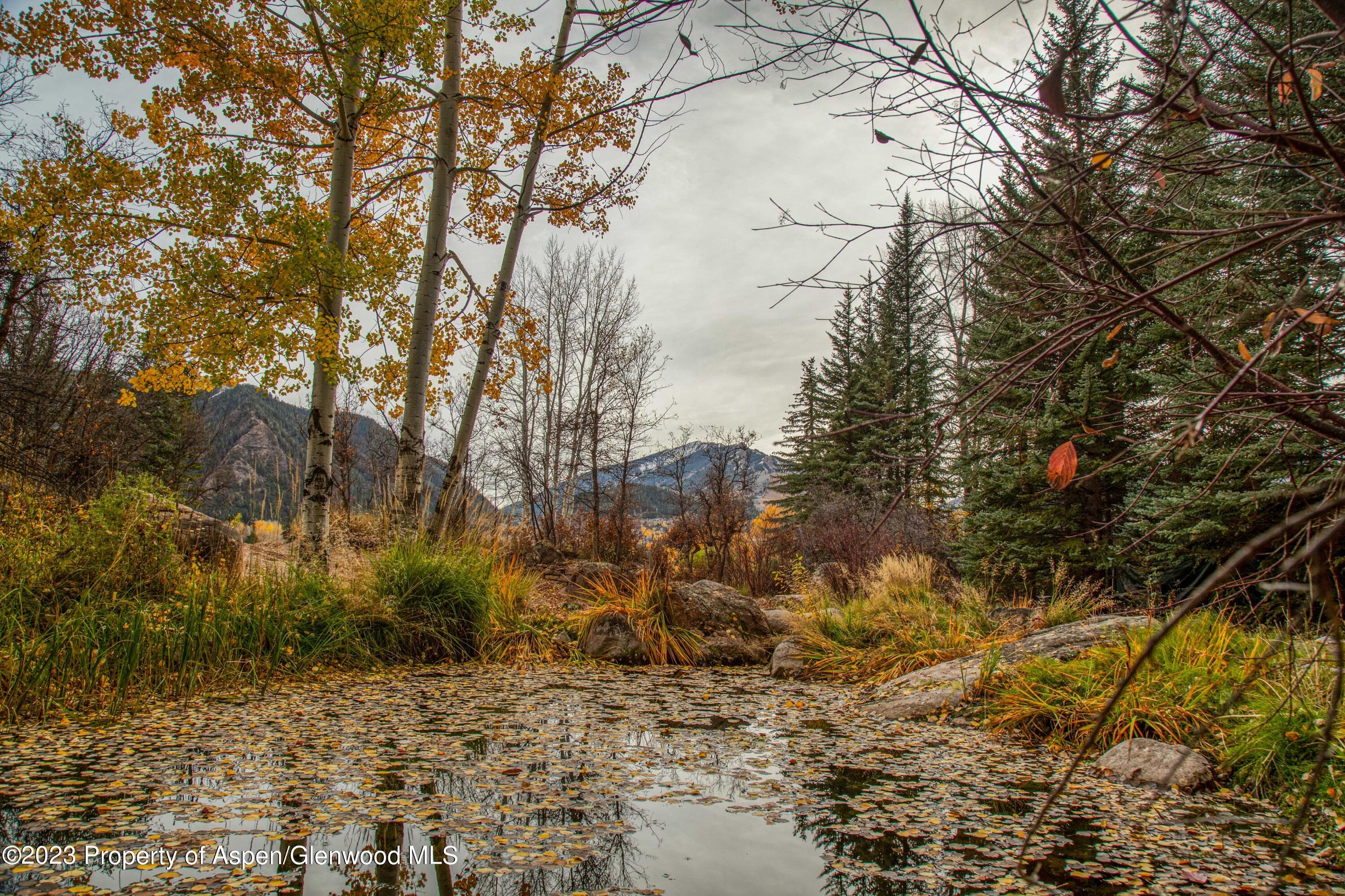 848 Willoughby Way, Aspen, CO 81611 - Photo 36