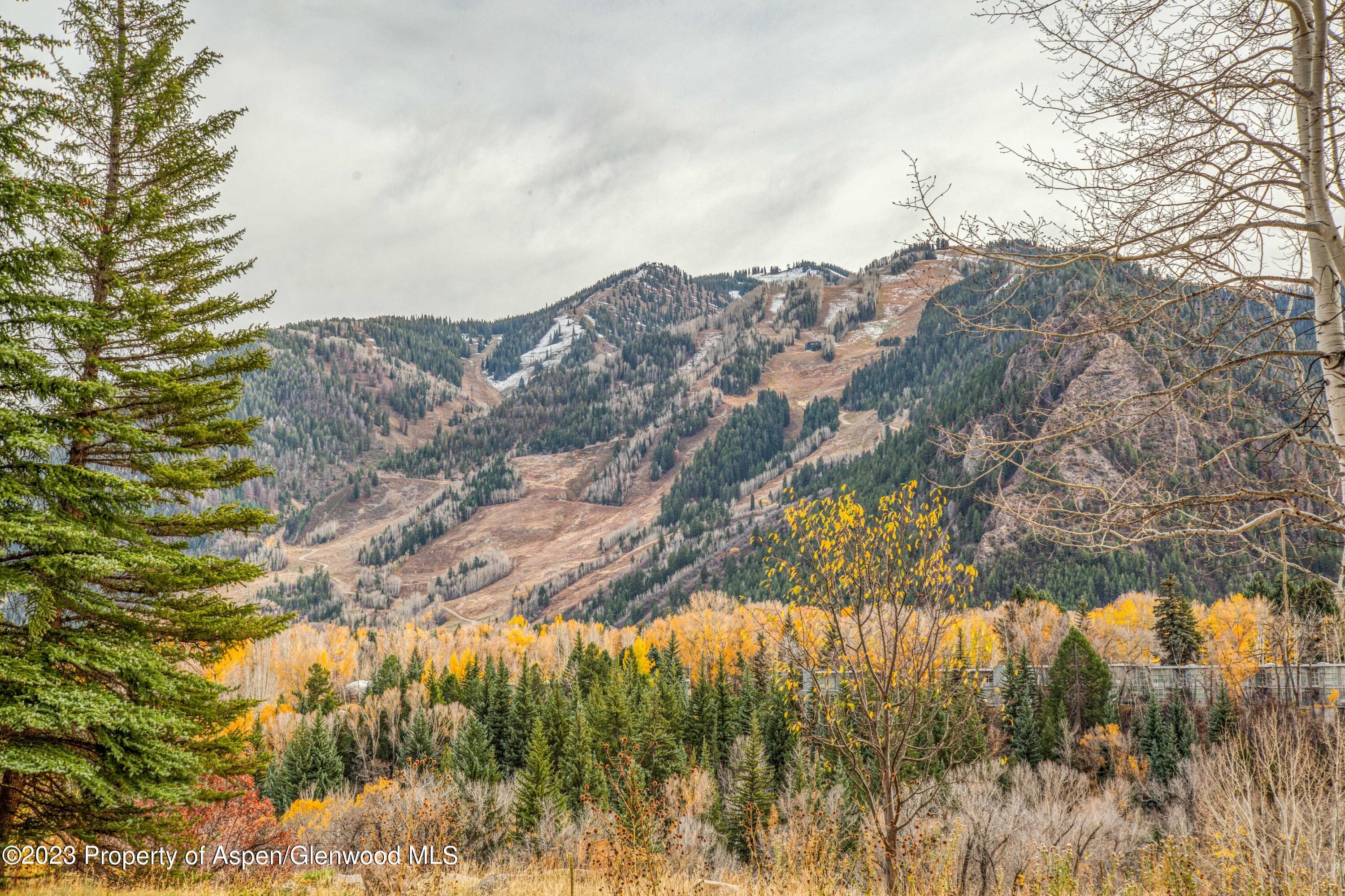 848 Willoughby Way, Aspen, CO 81611 - Photo 40