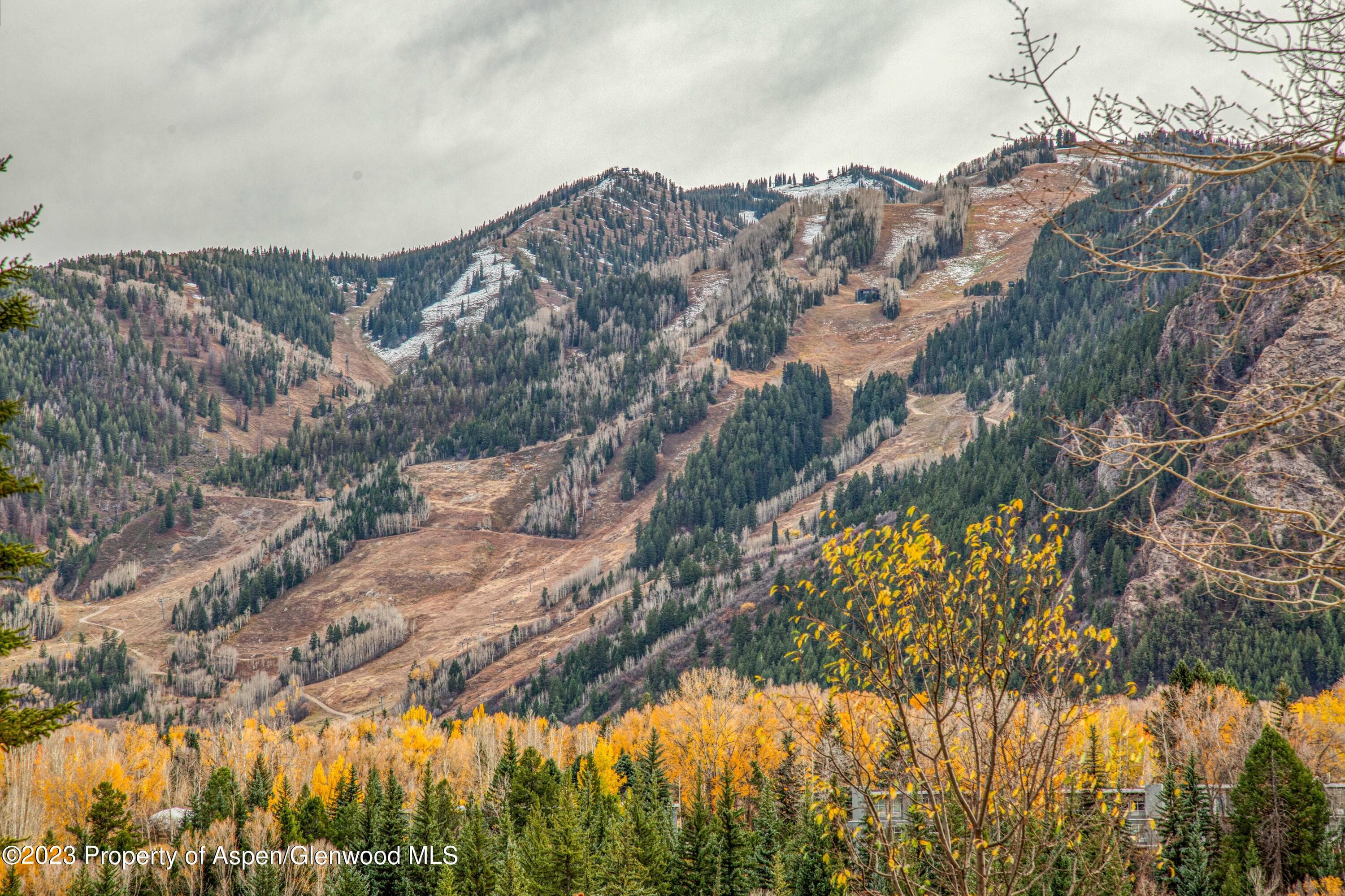 848 Willoughby Way, Aspen, CO 81611 - Photo 42