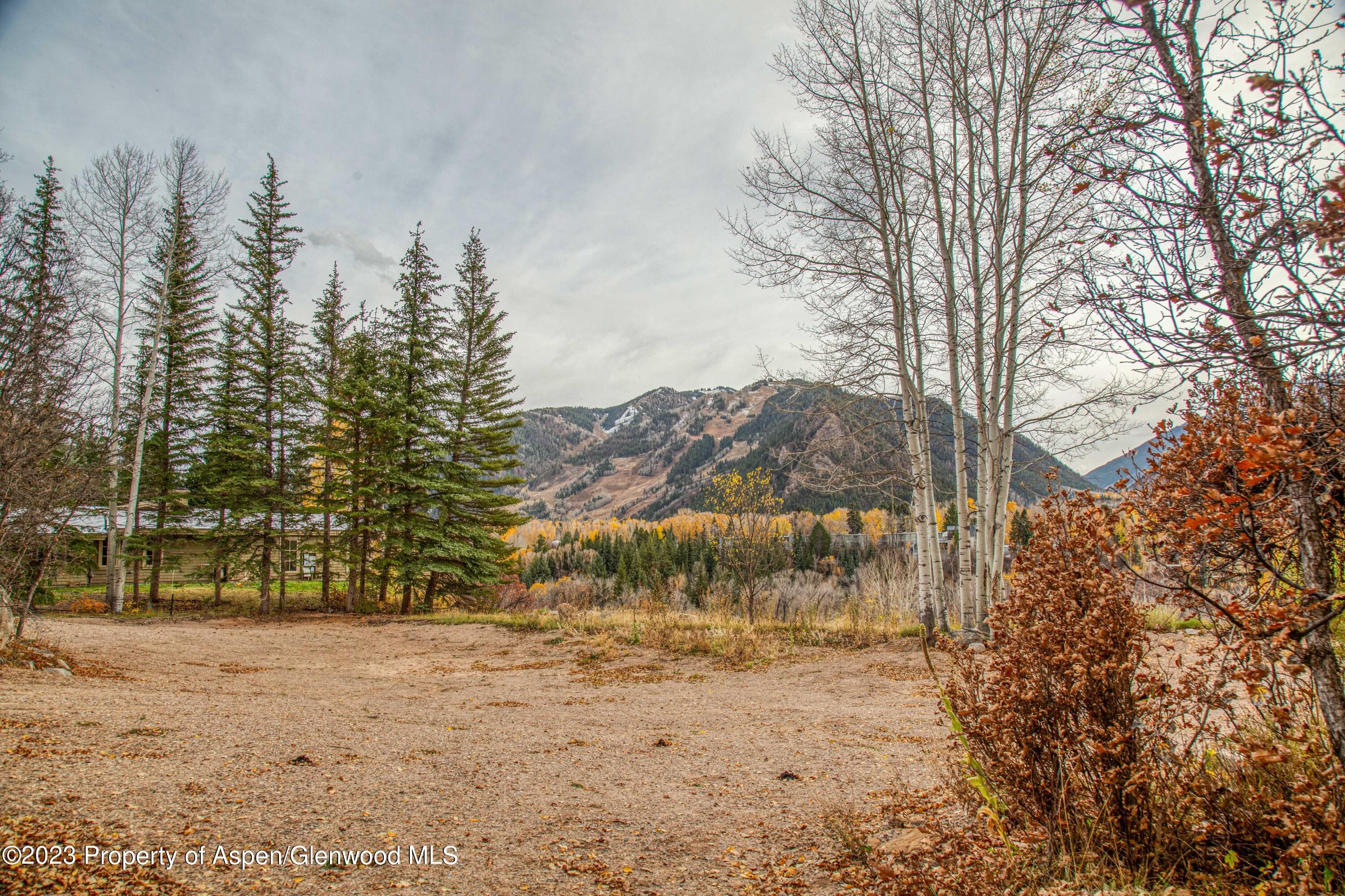 848 Willoughby Way, Aspen, CO 81611 - Photo 45