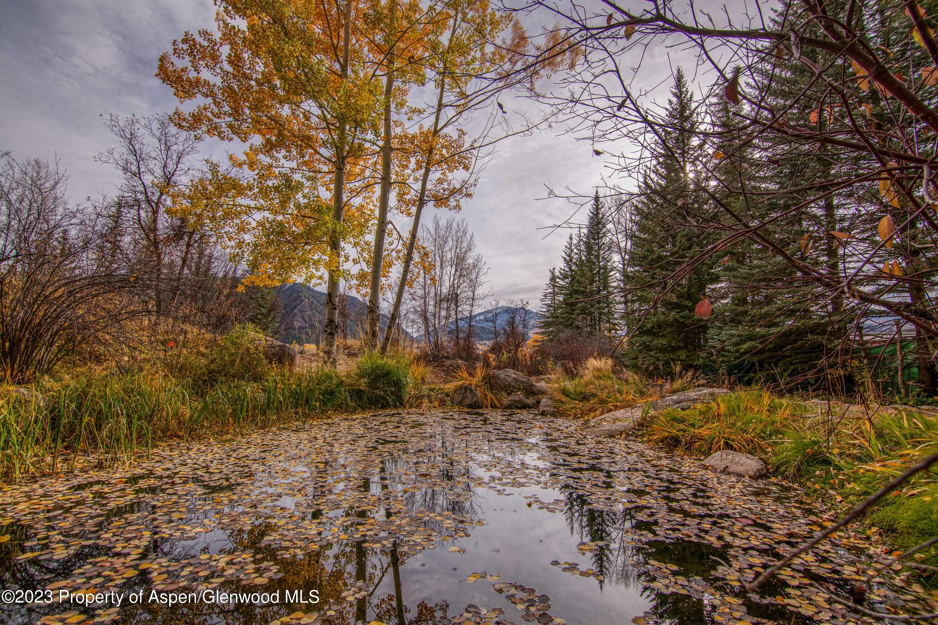 848 Willoughby Way, Aspen, CO 81611 - Photo 48