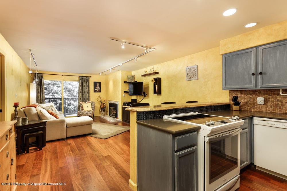 205 E Durant Avenue 1h, Aspen, CO 81611 - Photo 3