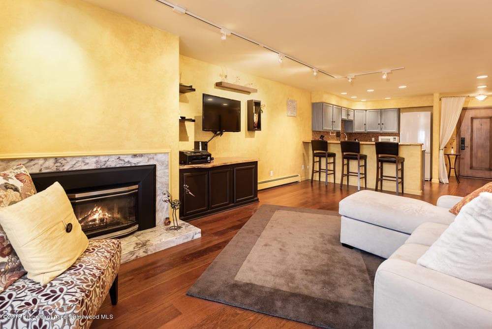 205 E Durant Avenue 1h, Aspen, CO 81611 - Photo 5