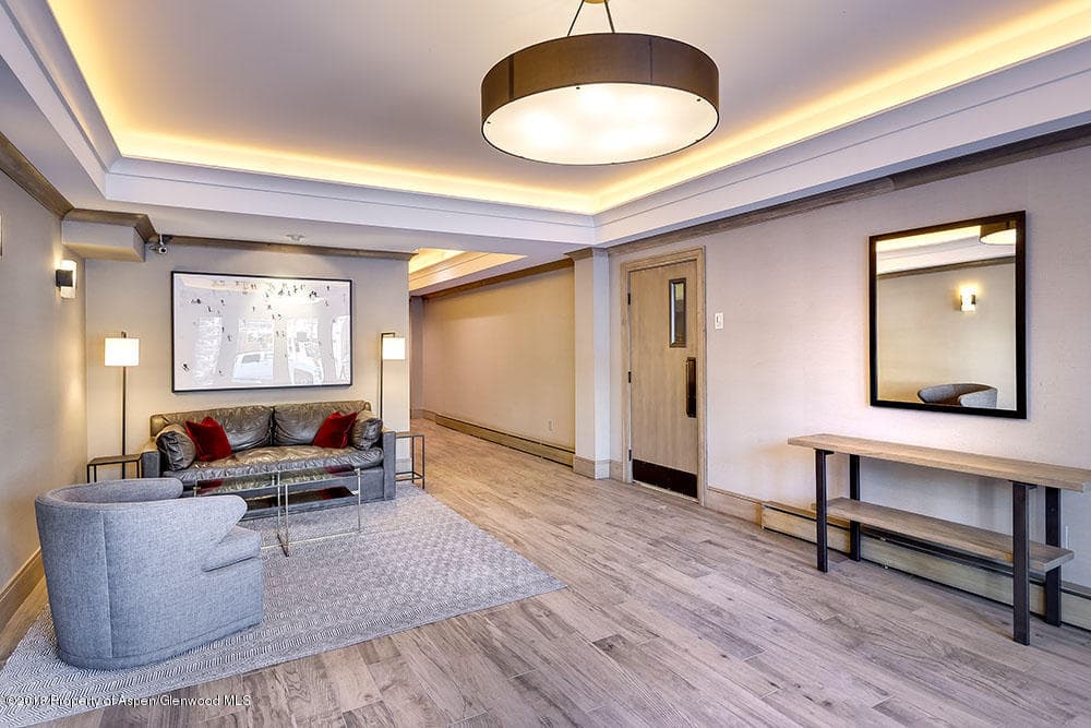 205 E Durant Avenue 1h, Aspen, CO 81611 - Photo 11