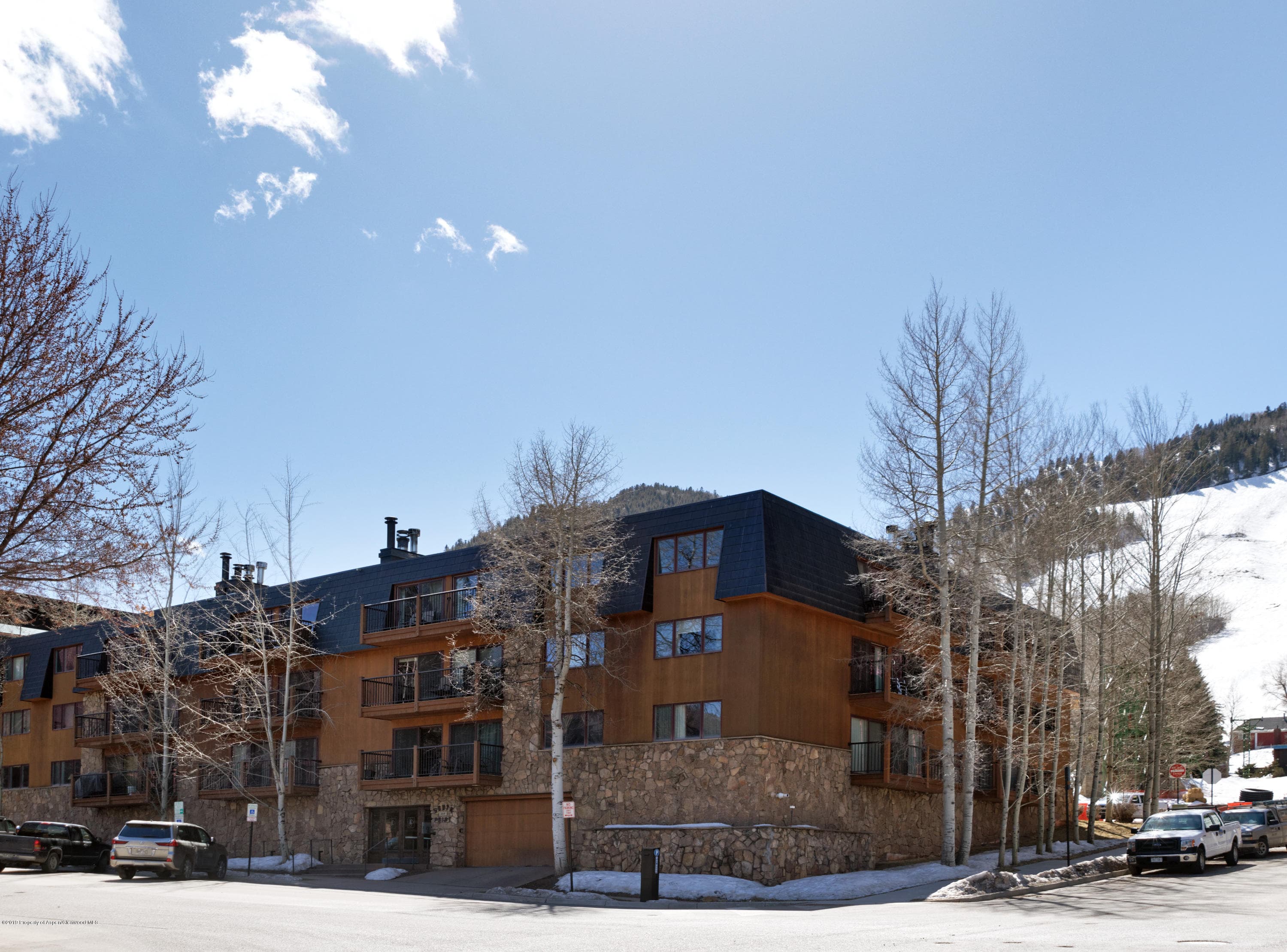 205 E Durant Avenue 1h, Aspen, CO 81611 - Photo 15