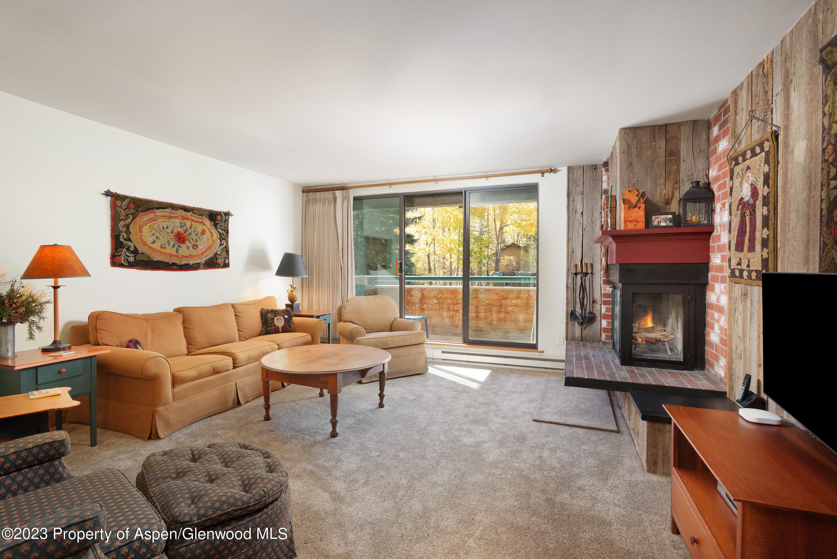 1024 E Hopkins Avenue 12, Aspen, CO 81611