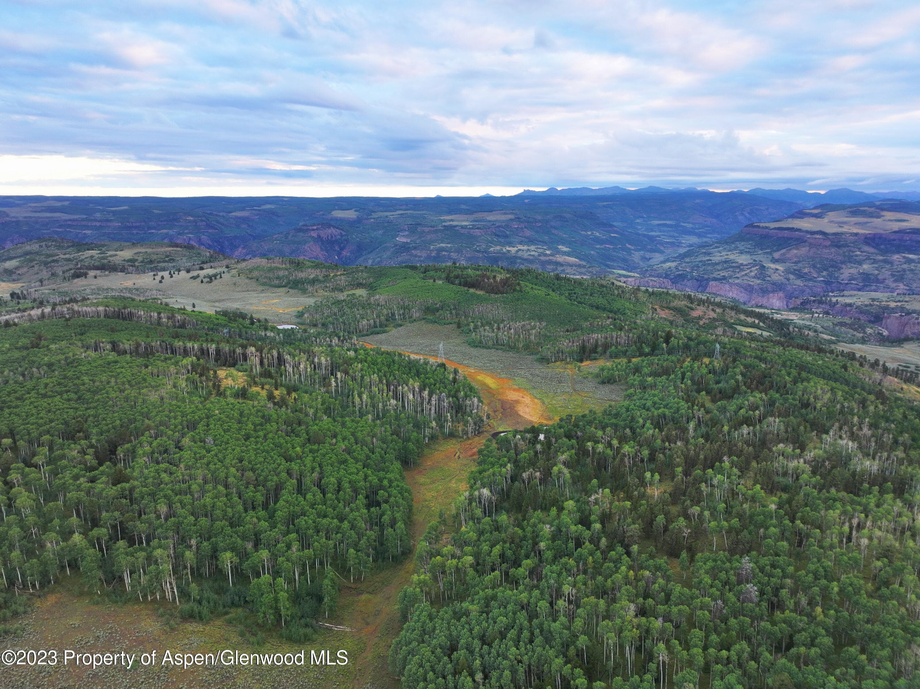 3795 Highway 50, Cimarron, CO 81220 - Photo 2
