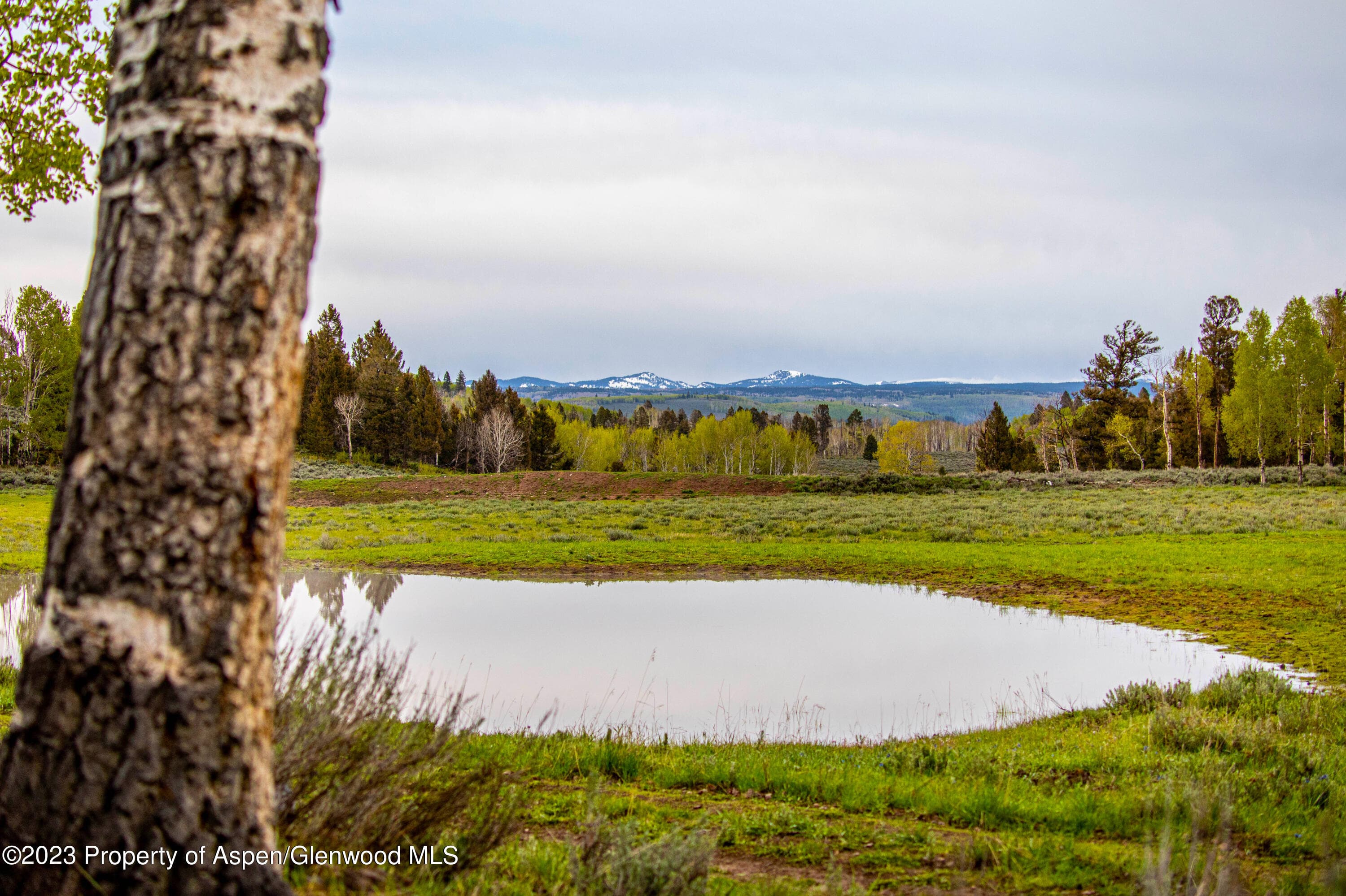 3795 Highway 50, Cimarron, CO 81220 - Photo 4