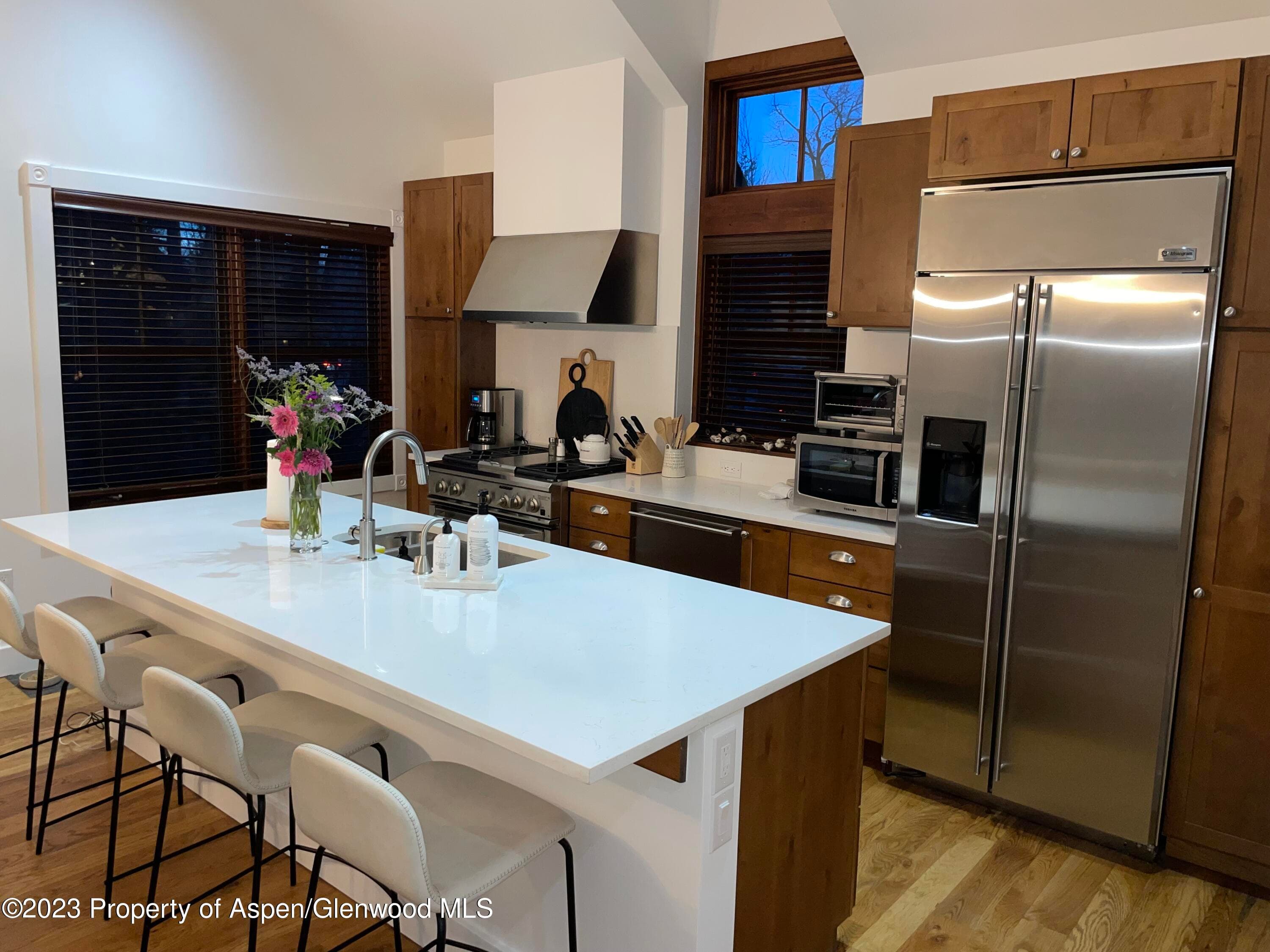 519 W Main Street D-101, Aspen, CO 81611 - Photo 3