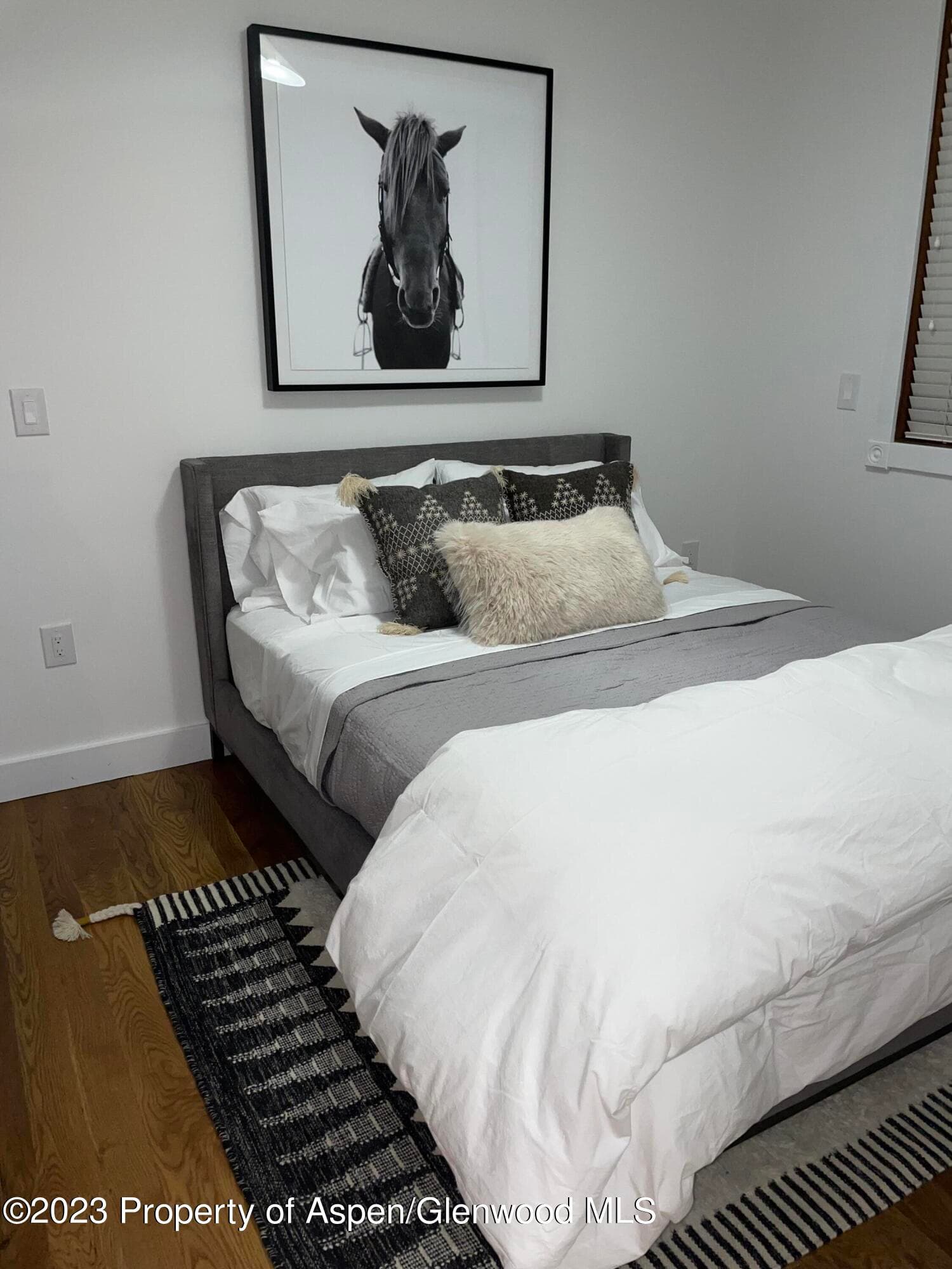 519 W Main Street D-101, Aspen, CO 81611 - Photo 9