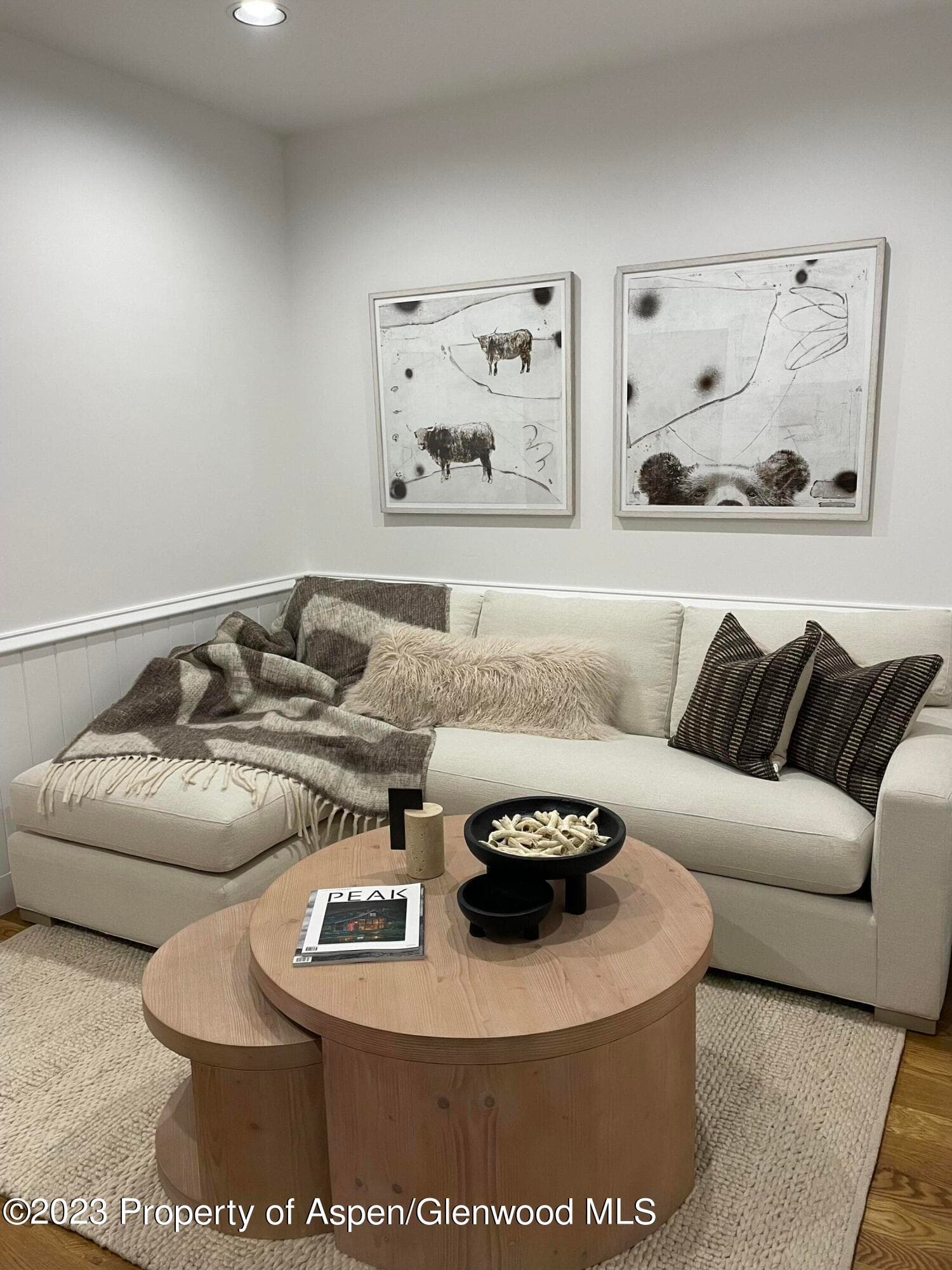 519 W Main Street D-101, Aspen, CO 81611 - Photo 8
