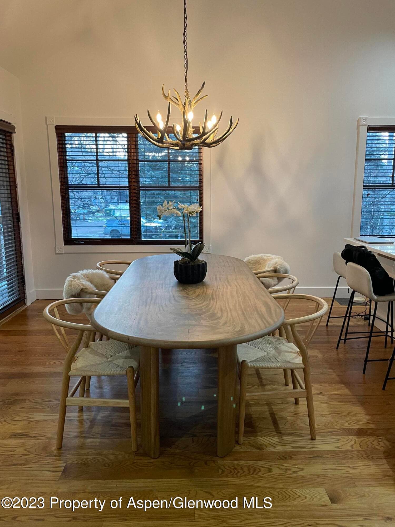 519 W Main Street D-101, Aspen, CO 81611 - Photo 4