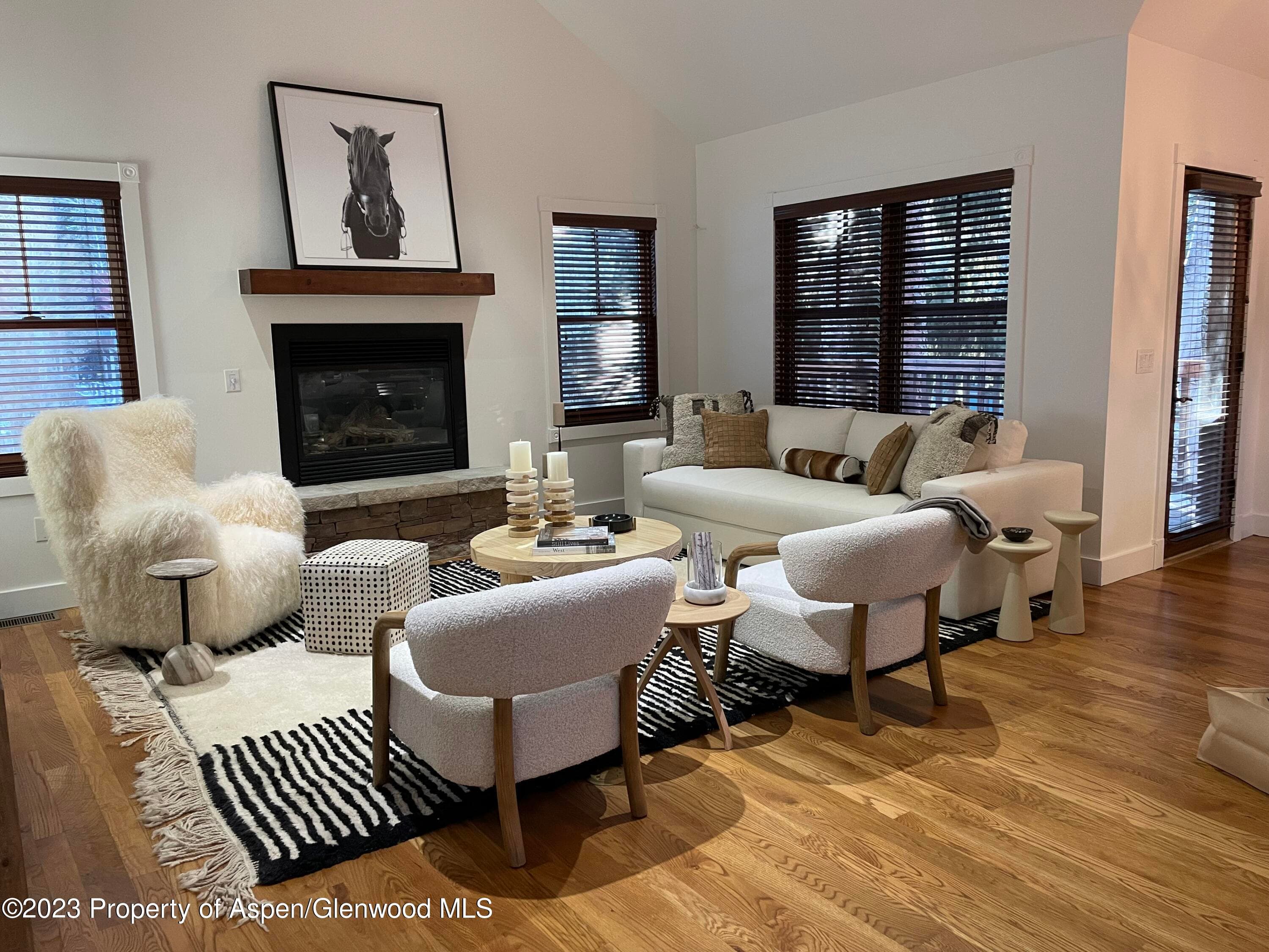 519 W Main Street D-101, Aspen, CO 81611 - Photo 2
