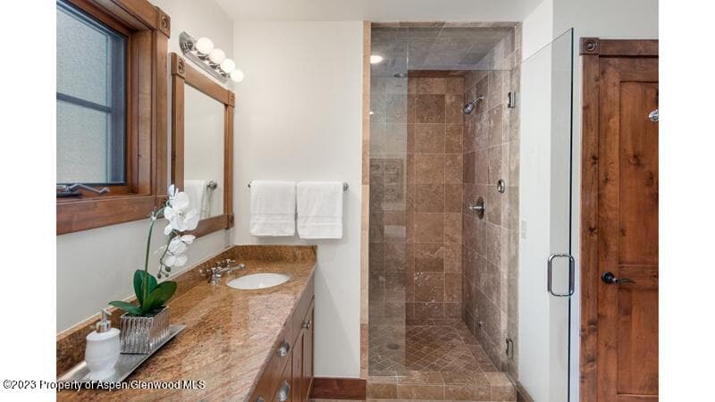 519 W Main Street D-101, Aspen, CO 81611 - Photo 7