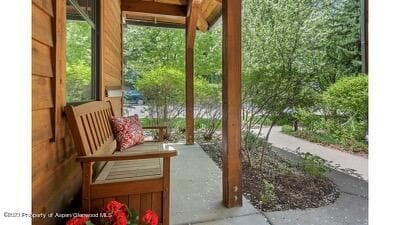 519 W Main Street D-101, Aspen, CO 81611 - Photo 18