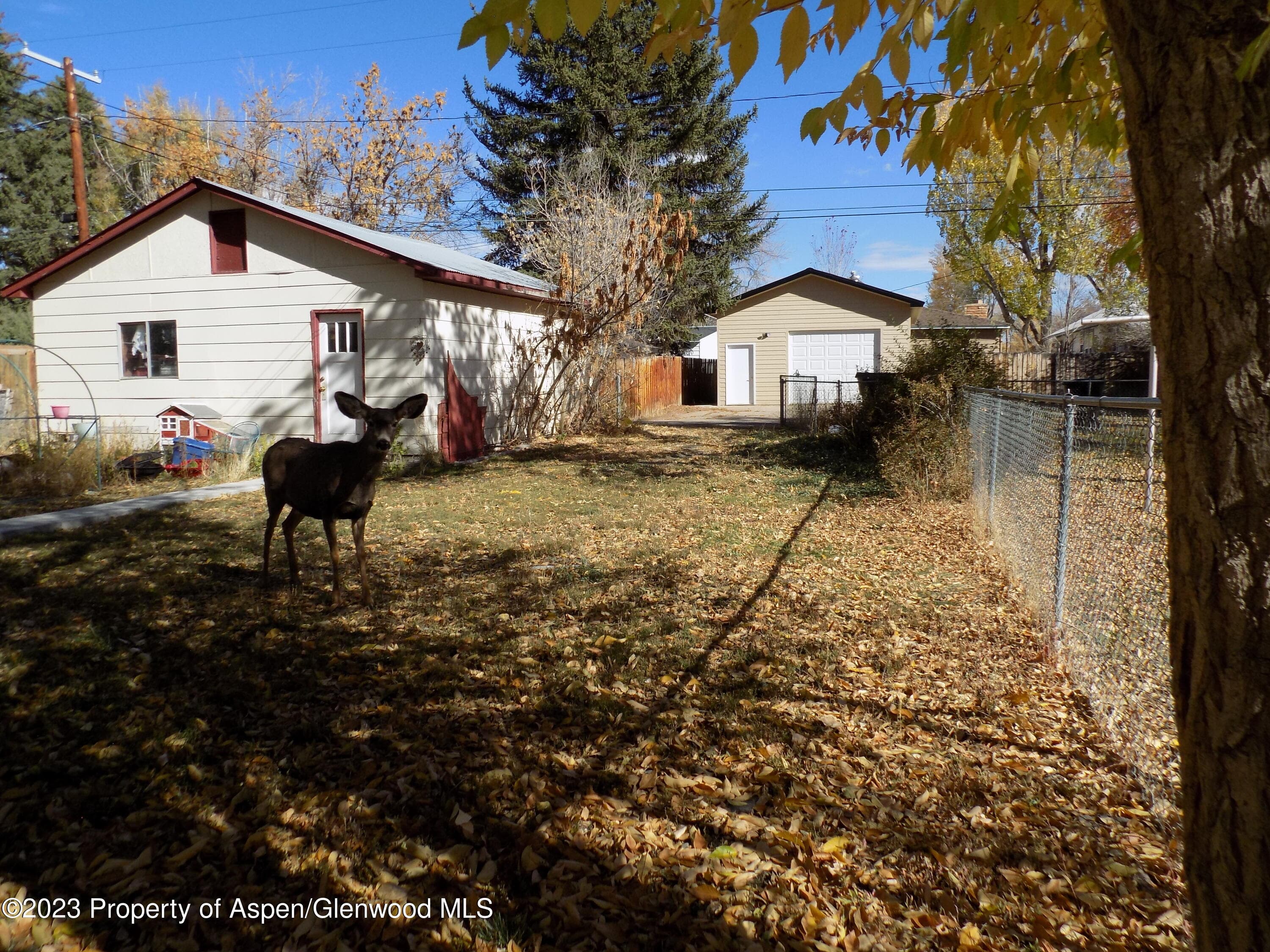 741 School Street, Craig, CO 81625 - Photo 8