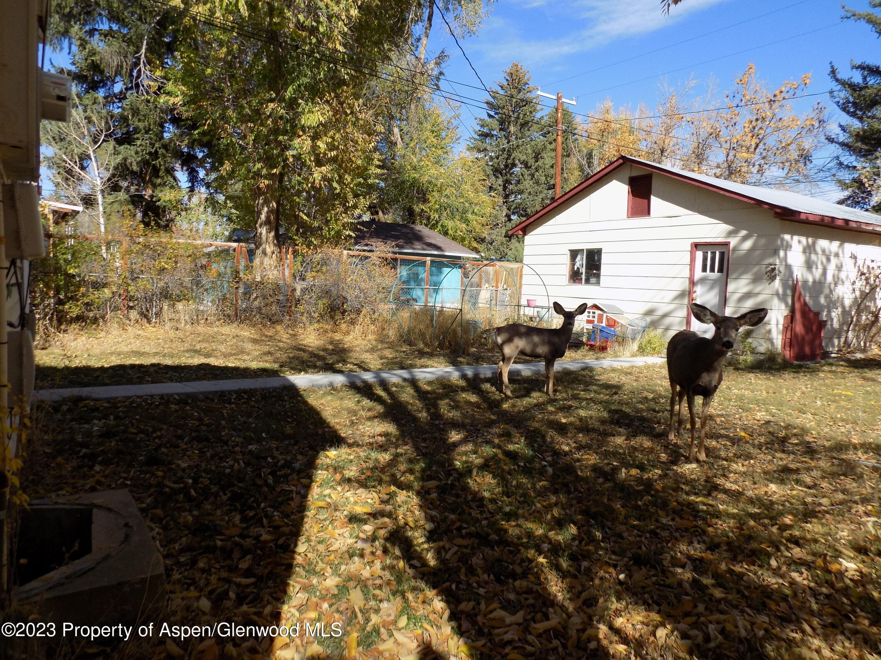 741 School Street, Craig, CO 81625 - Photo 9
