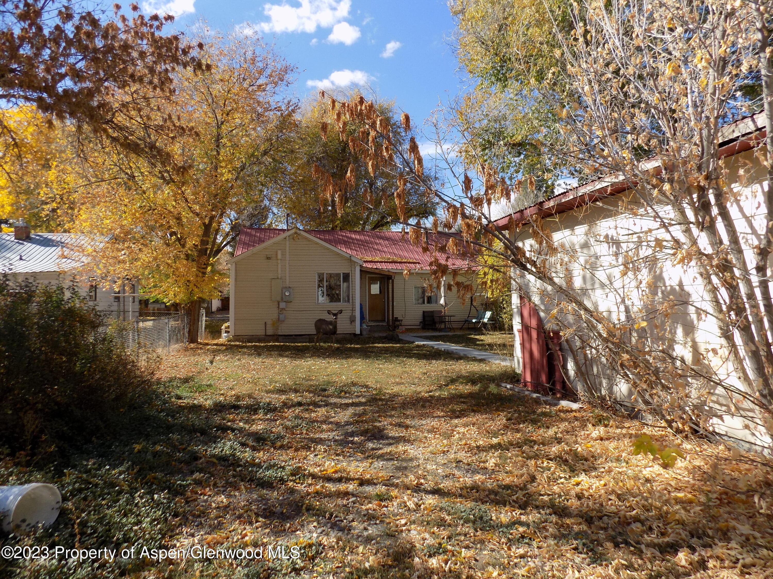 741 School Street, Craig, CO 81625 - Photo 11