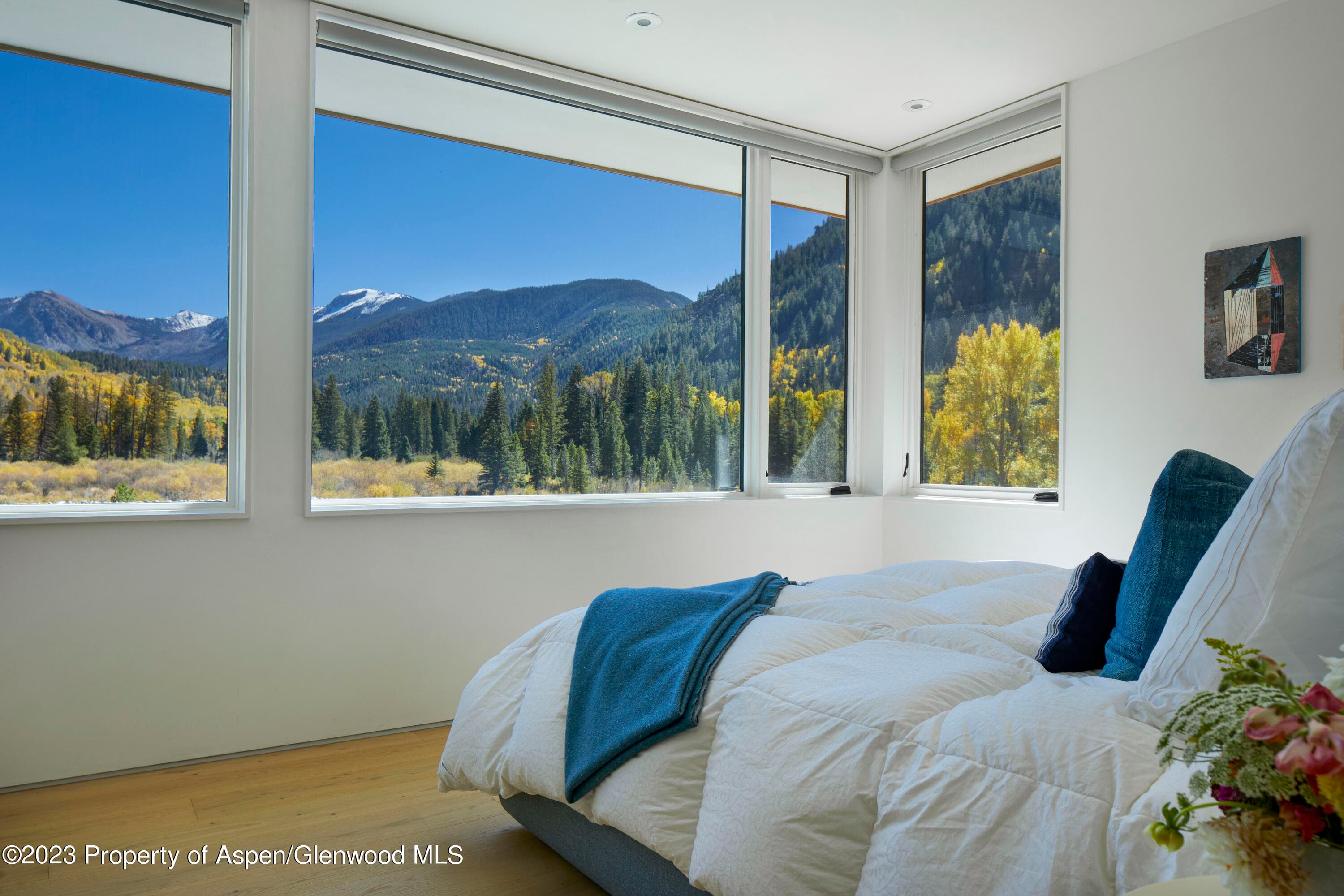 9 & 17 Ullr Way, Aspen, CO 81611 - Photo 10