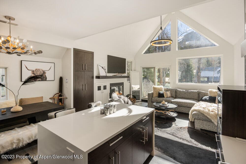 222 W Hopkins Avenue 6, Aspen, CO 81611 - Photo 3