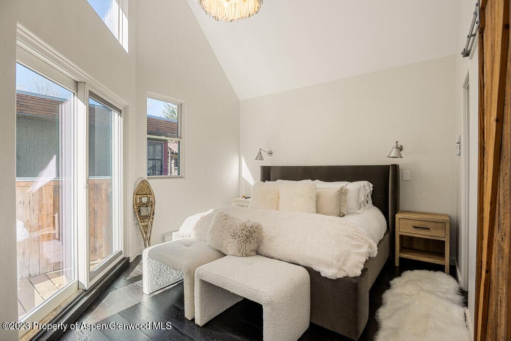 222 W Hopkins Avenue 6, Aspen, CO 81611 - Photo 11