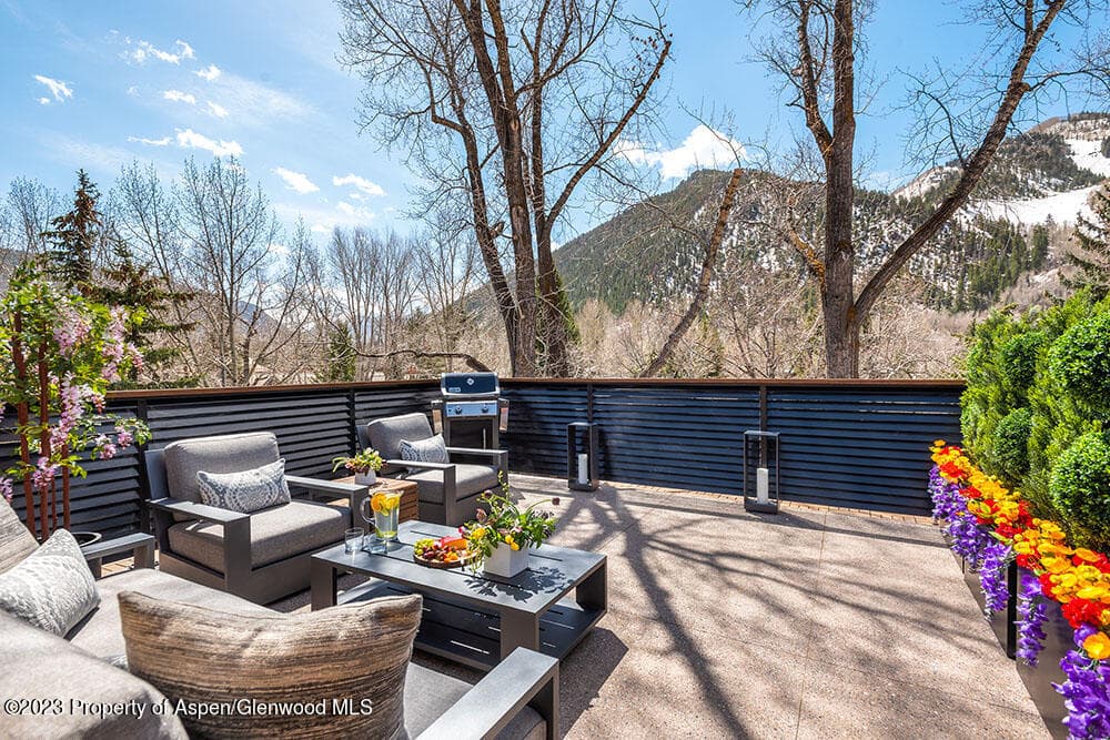 802 E Cooper #3, Aspen, CO 81611 - Photo 25