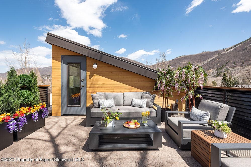 802 E Cooper #3, Aspen, CO 81611 - Photo 27