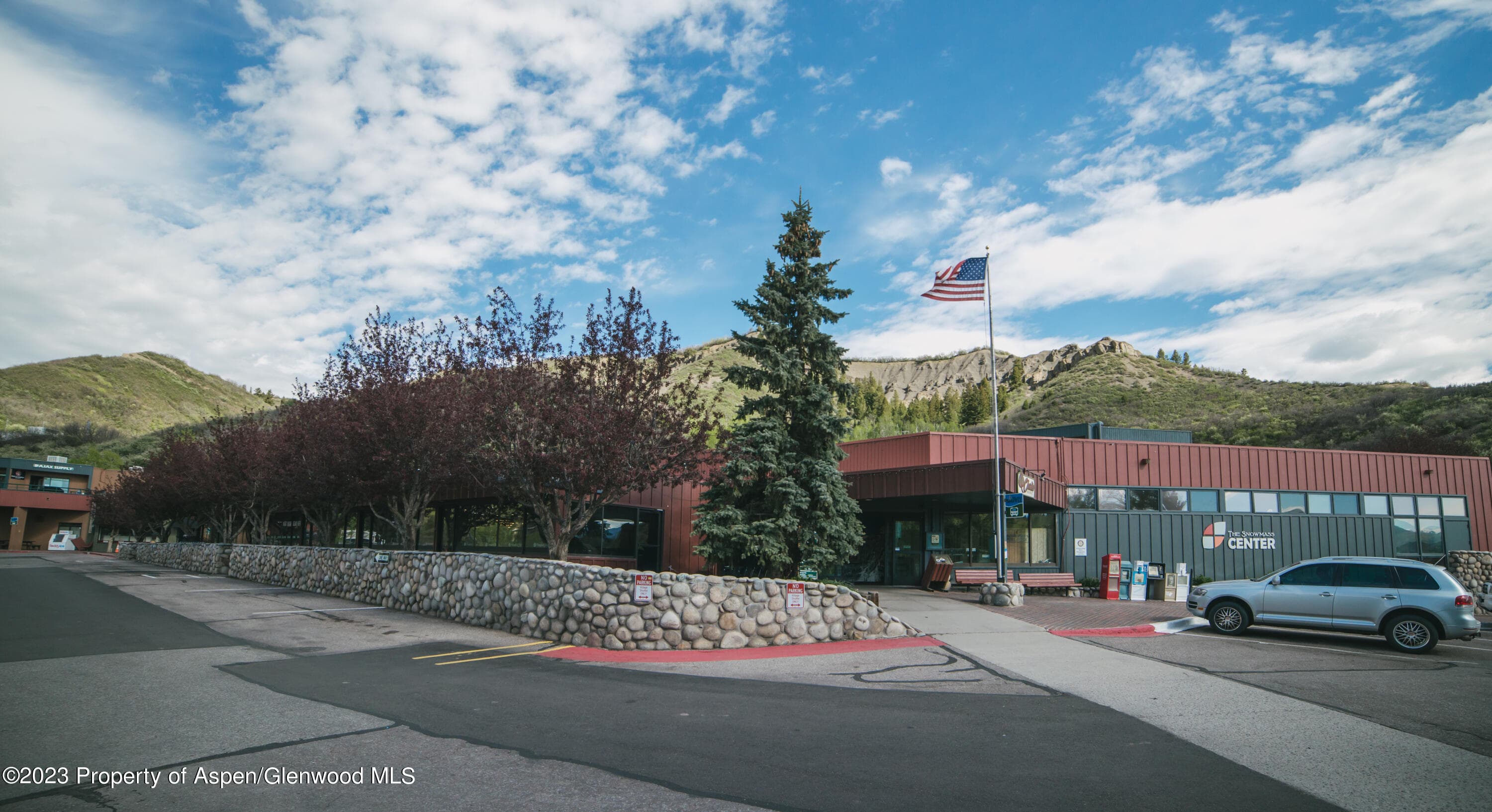 16 Kearns Road, Snowmass Village, CO 81615 - Photo 6