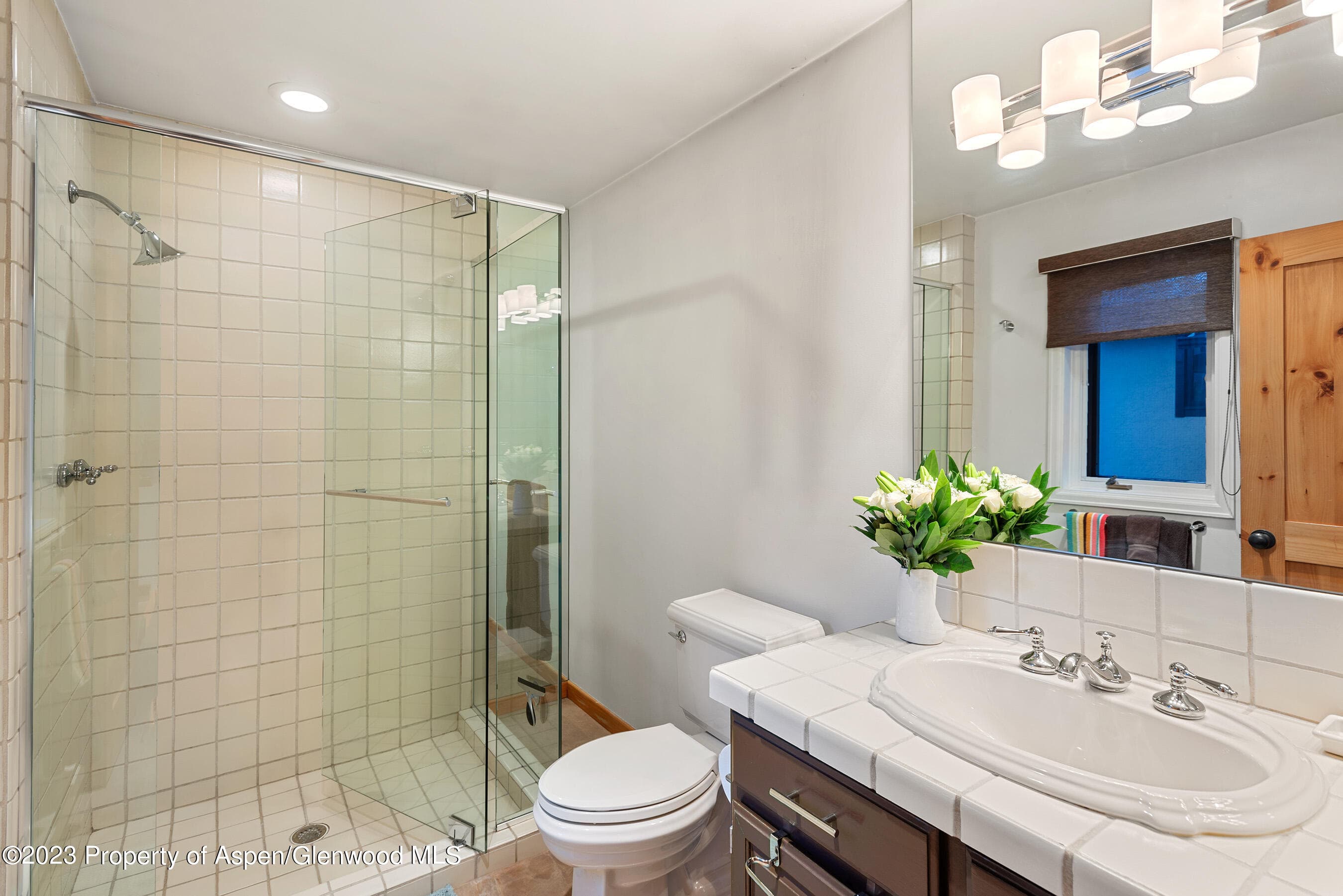 240 Heather Lane, Aspen, CO 81611 - Photo 21
