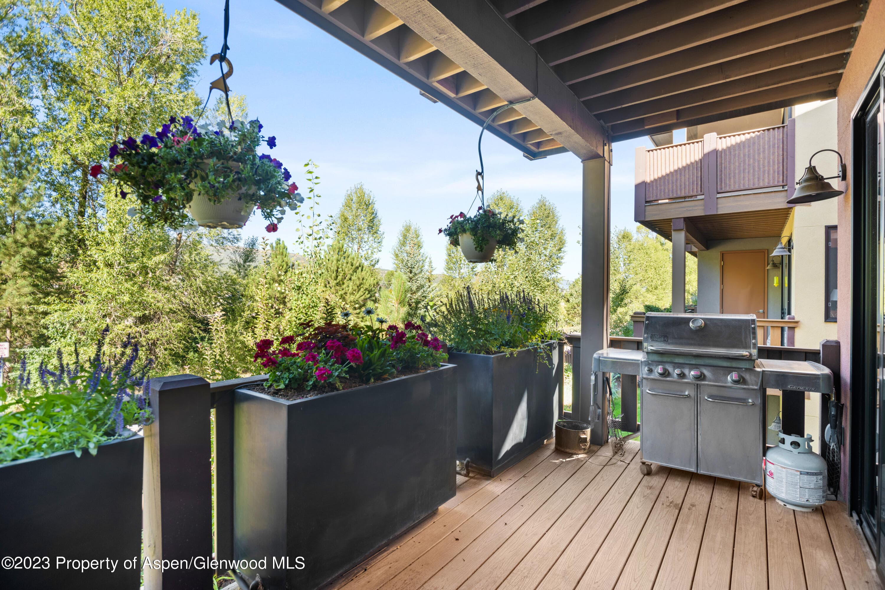 118 Juniper Trail, Carbondale, CO 81623 - Photo 6