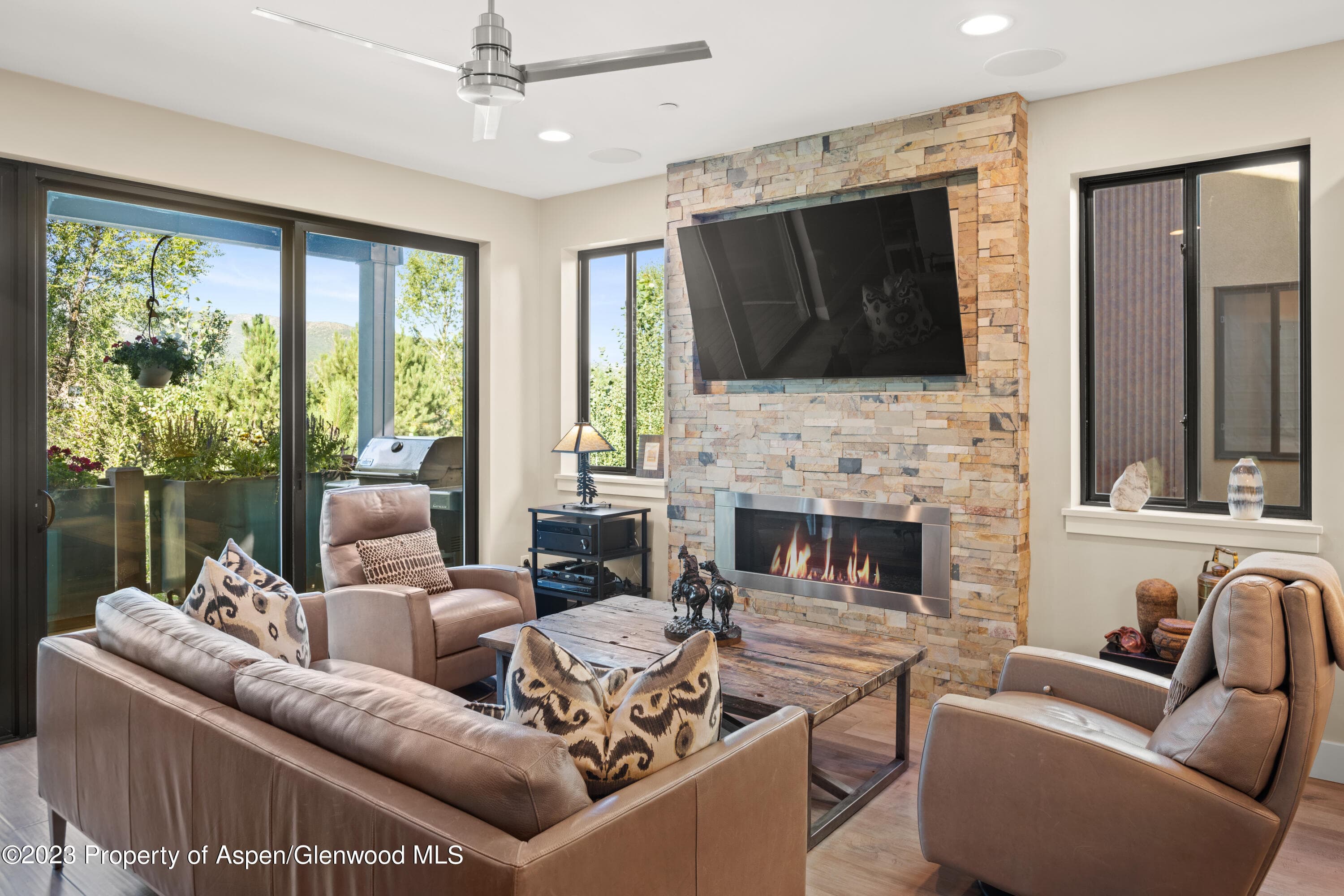 118 Juniper Trail, Carbondale, CO 81623 - Photo 5