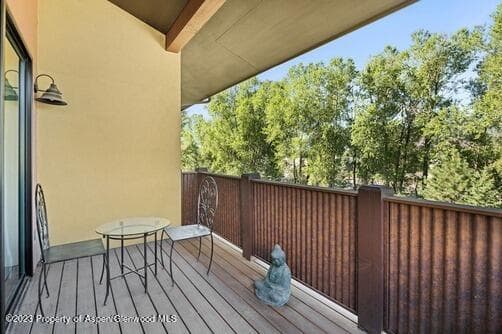 118 Juniper Trail, Carbondale, CO 81623 - Photo 11